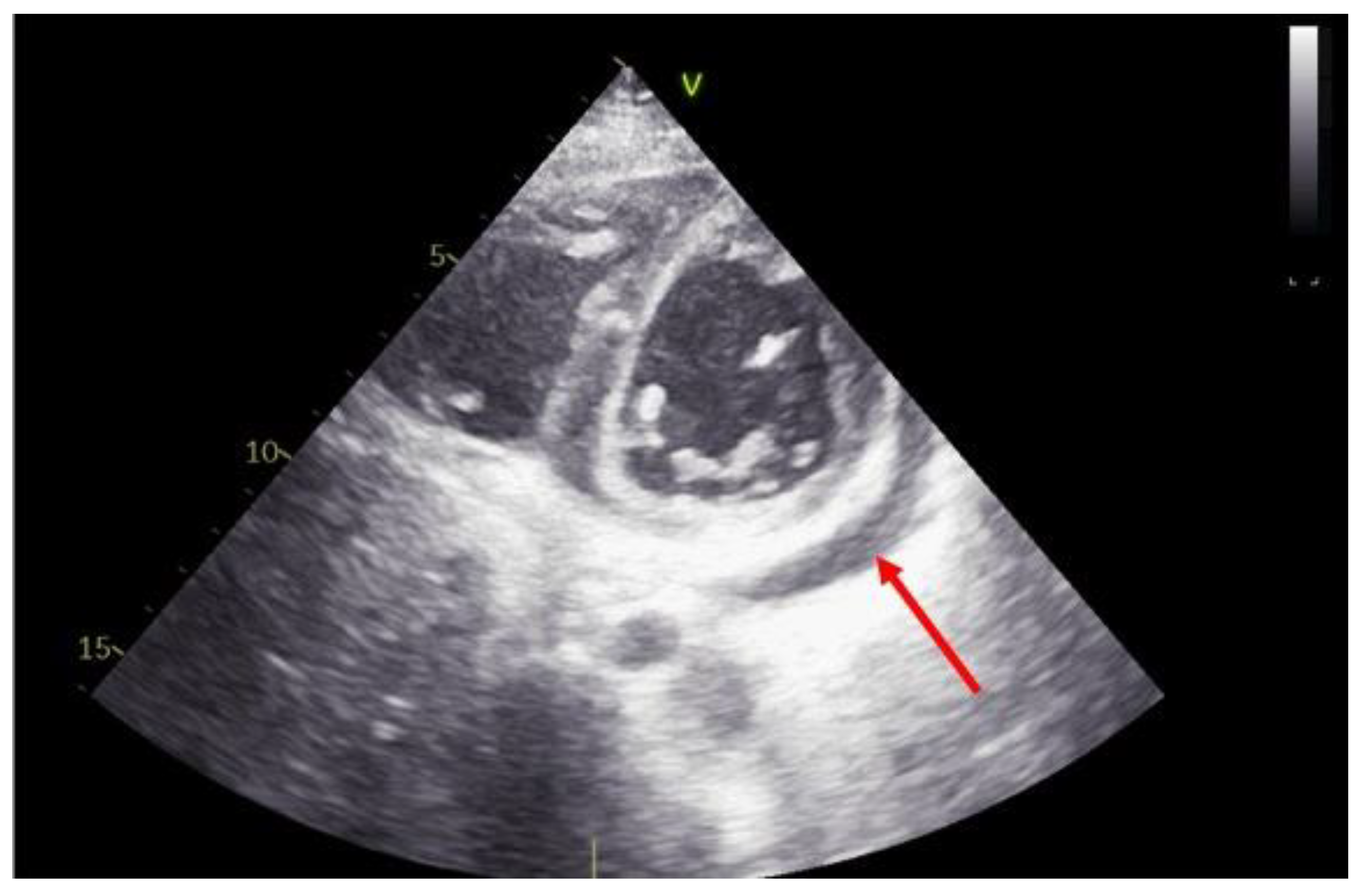 Diagnostics 11 02338 g003