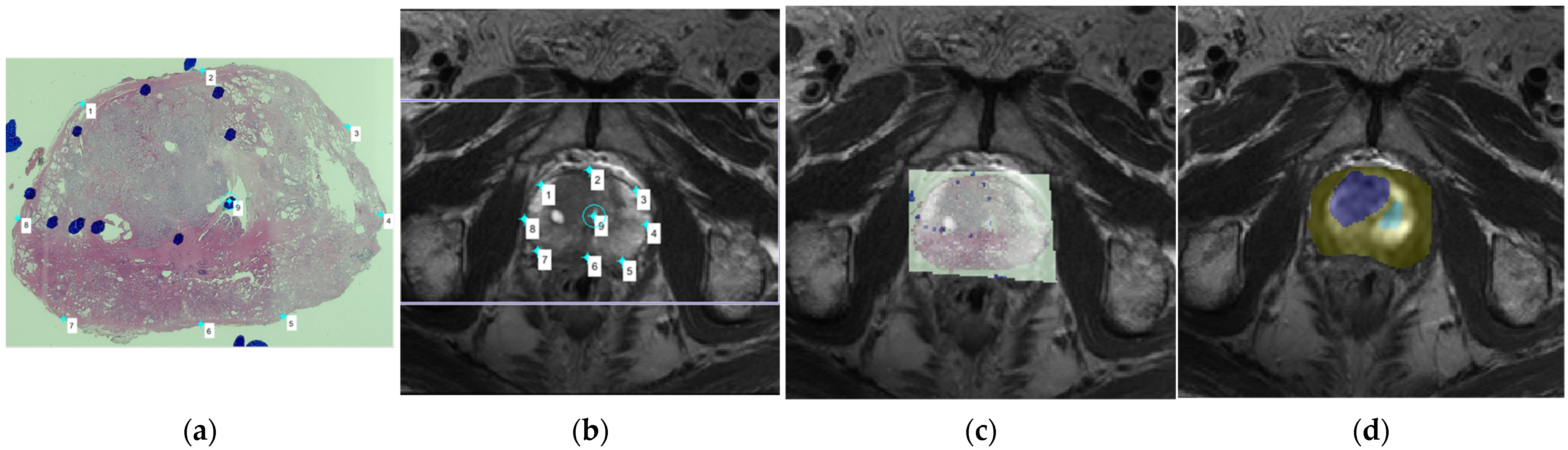 Diagnostics 11 02340 g001 550