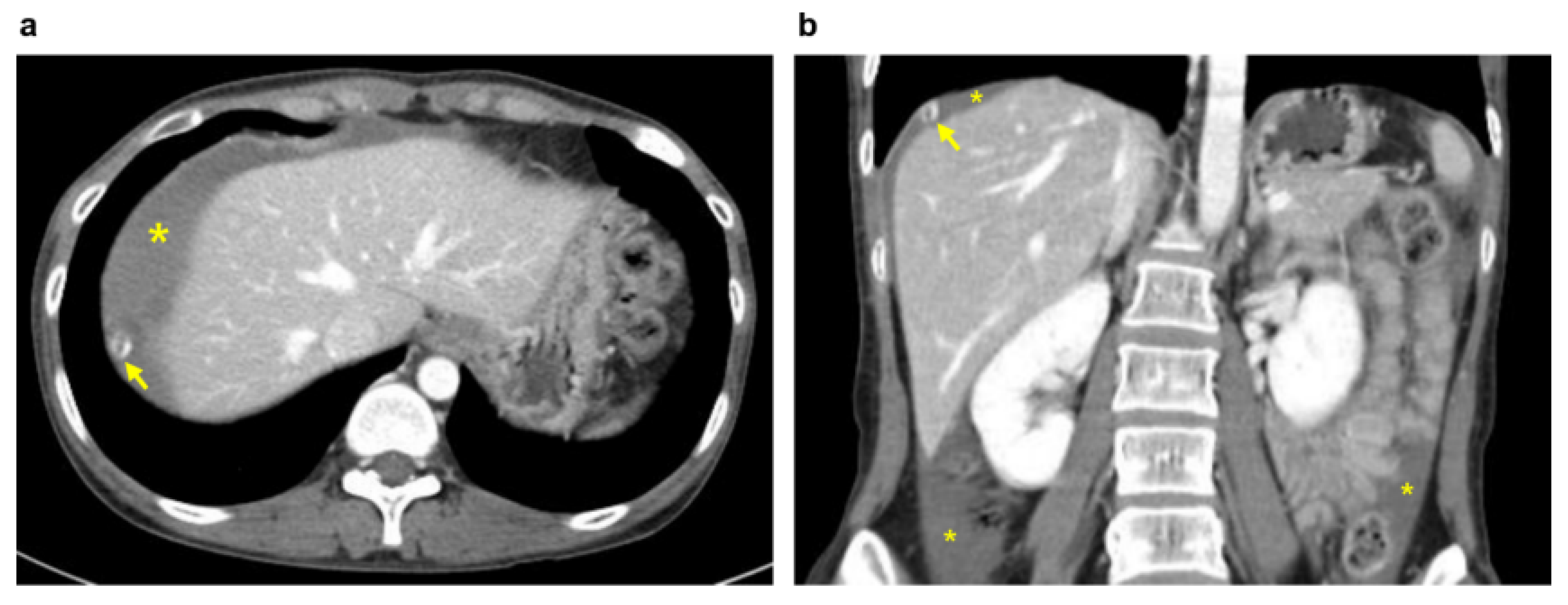 Diagnostics 11 02342 g001
