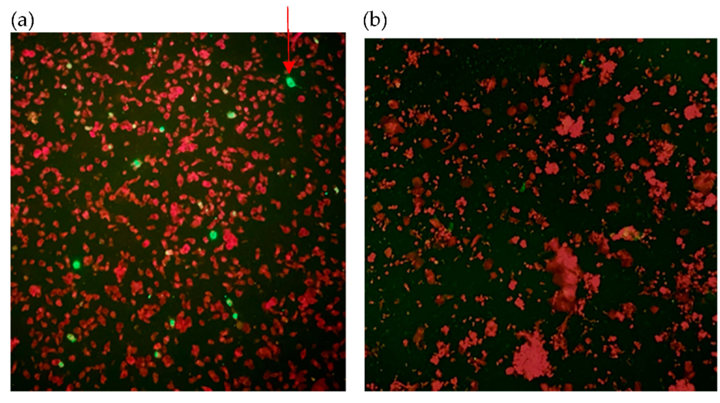 Diagnostics 11 02346 g001 Diagnostics 11 02346 g001