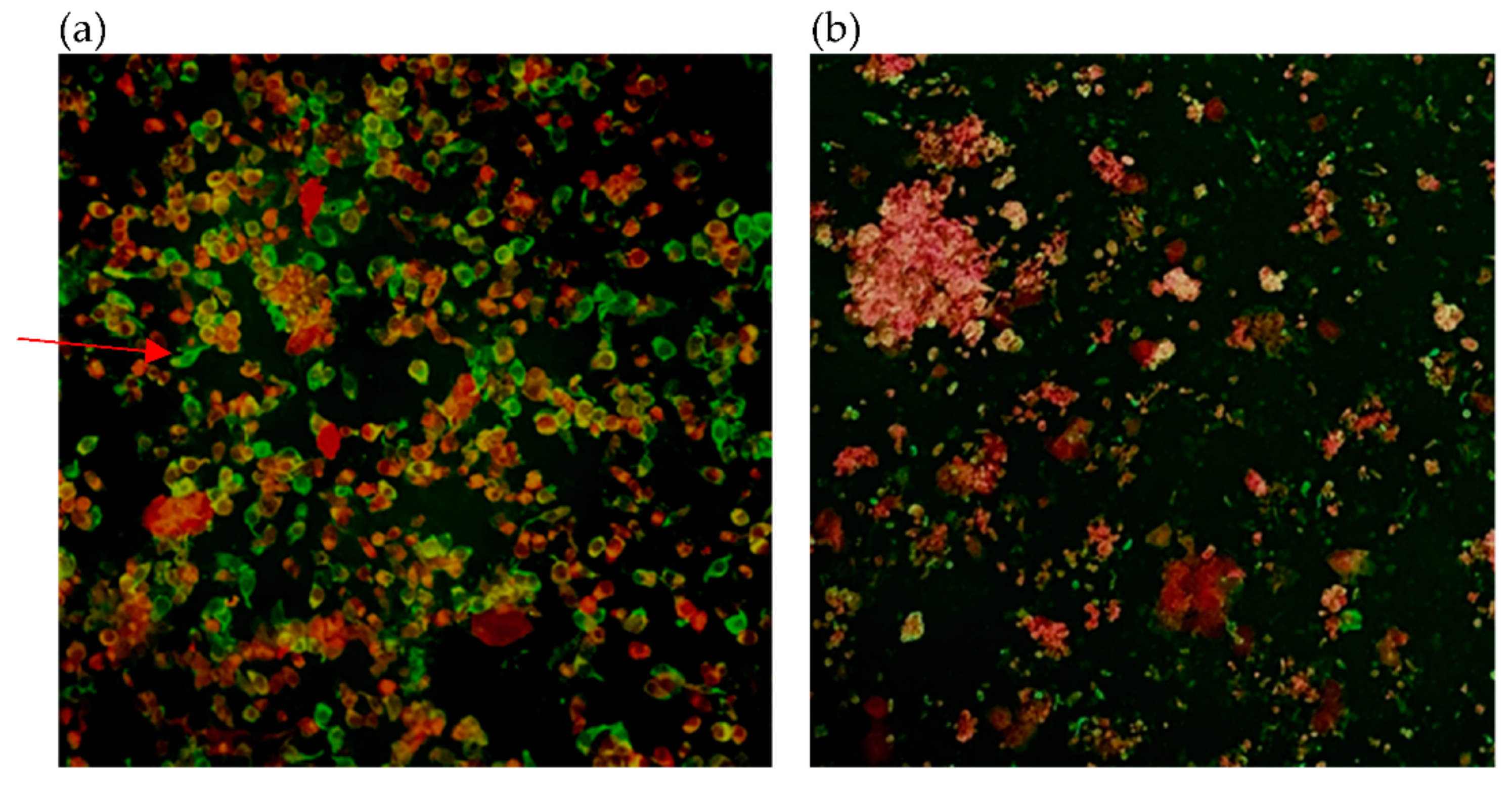 Diagnostics 11 02346 g003 Diagnostics 11 02346 g003