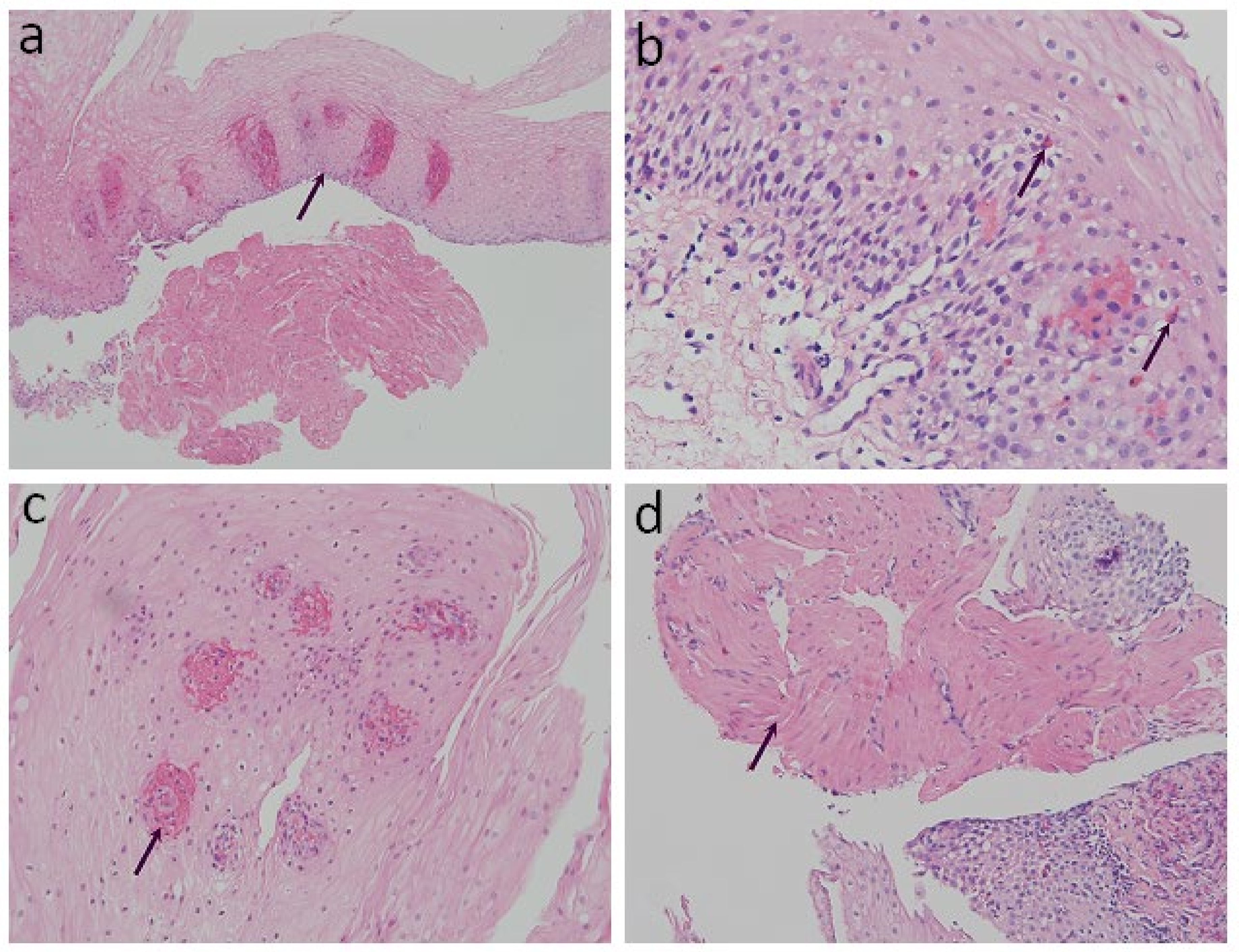 Diagnostics 11 02347 g001 Diagnostics 11 02347 g001