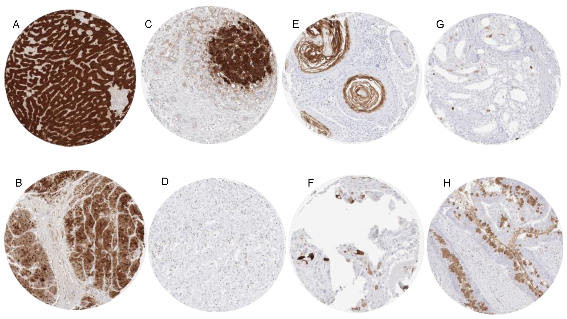 Diagnostics 11 02351 g002