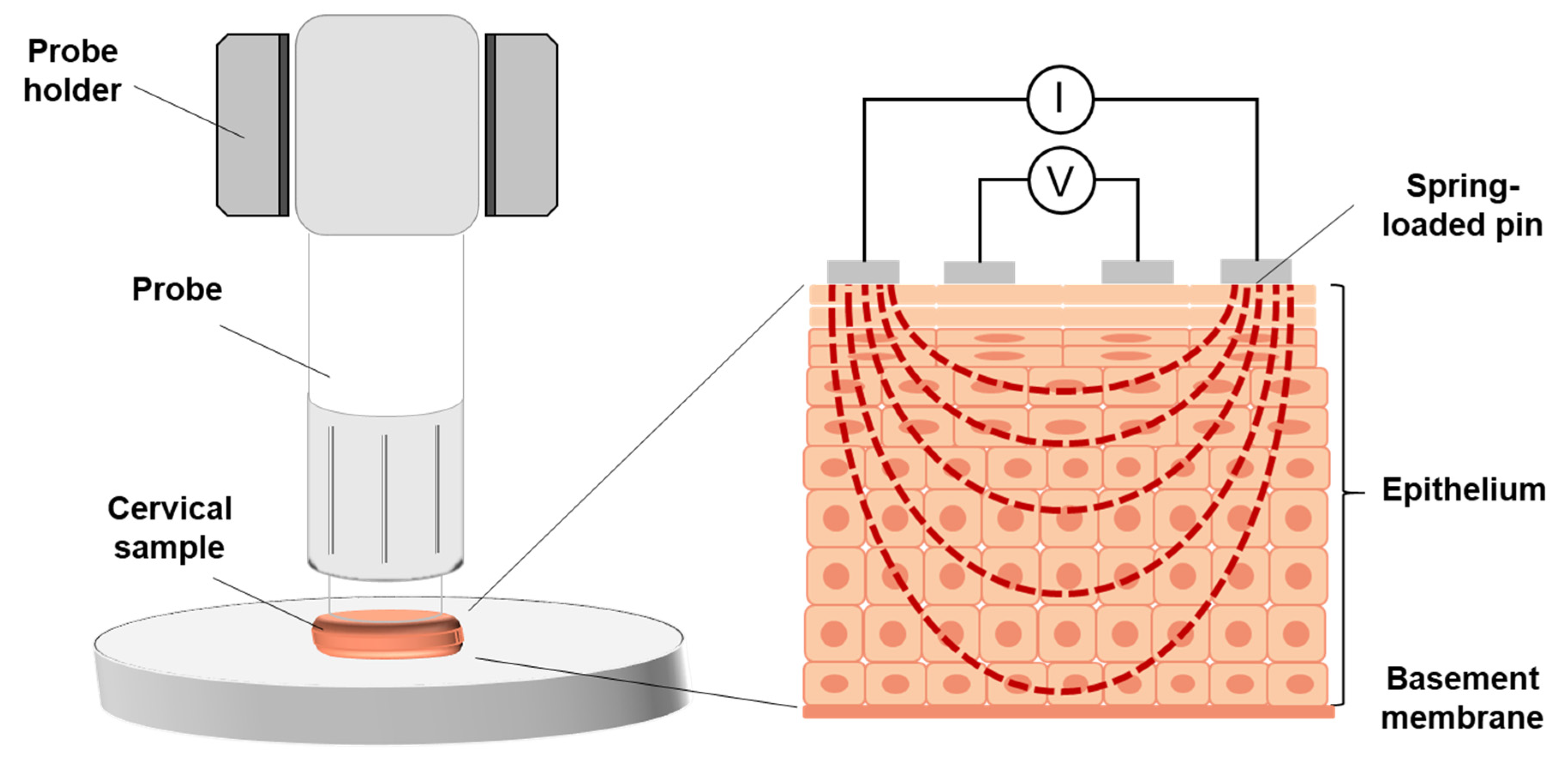 Diagnostics 11 02354 g003 550