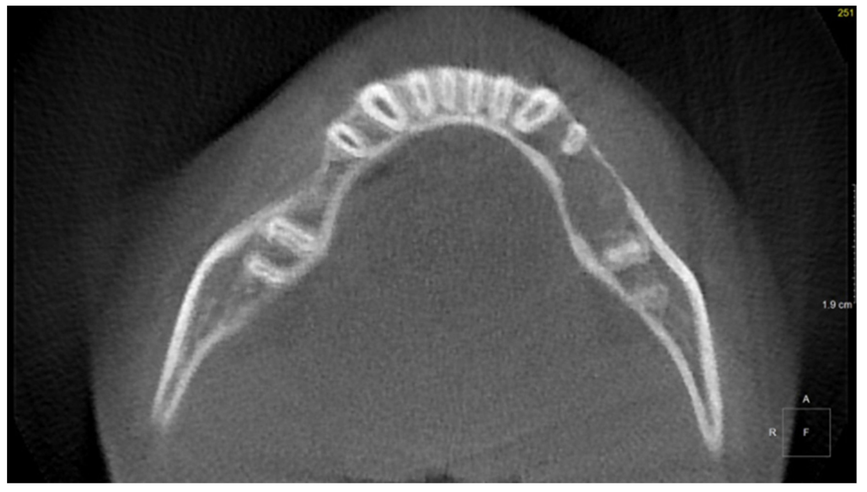 Diagnostics 11 02358 g002 Diagnostics 11 02358 g002
