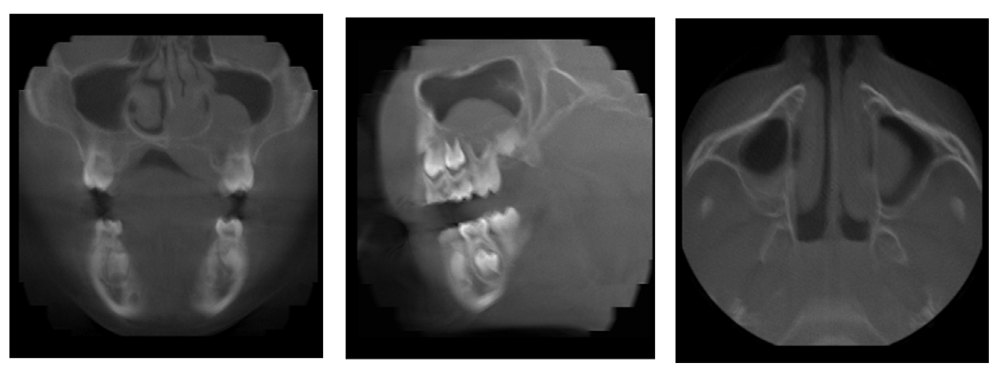 Diagnostics 11 02358 g004 Diagnostics 11 02358 g004