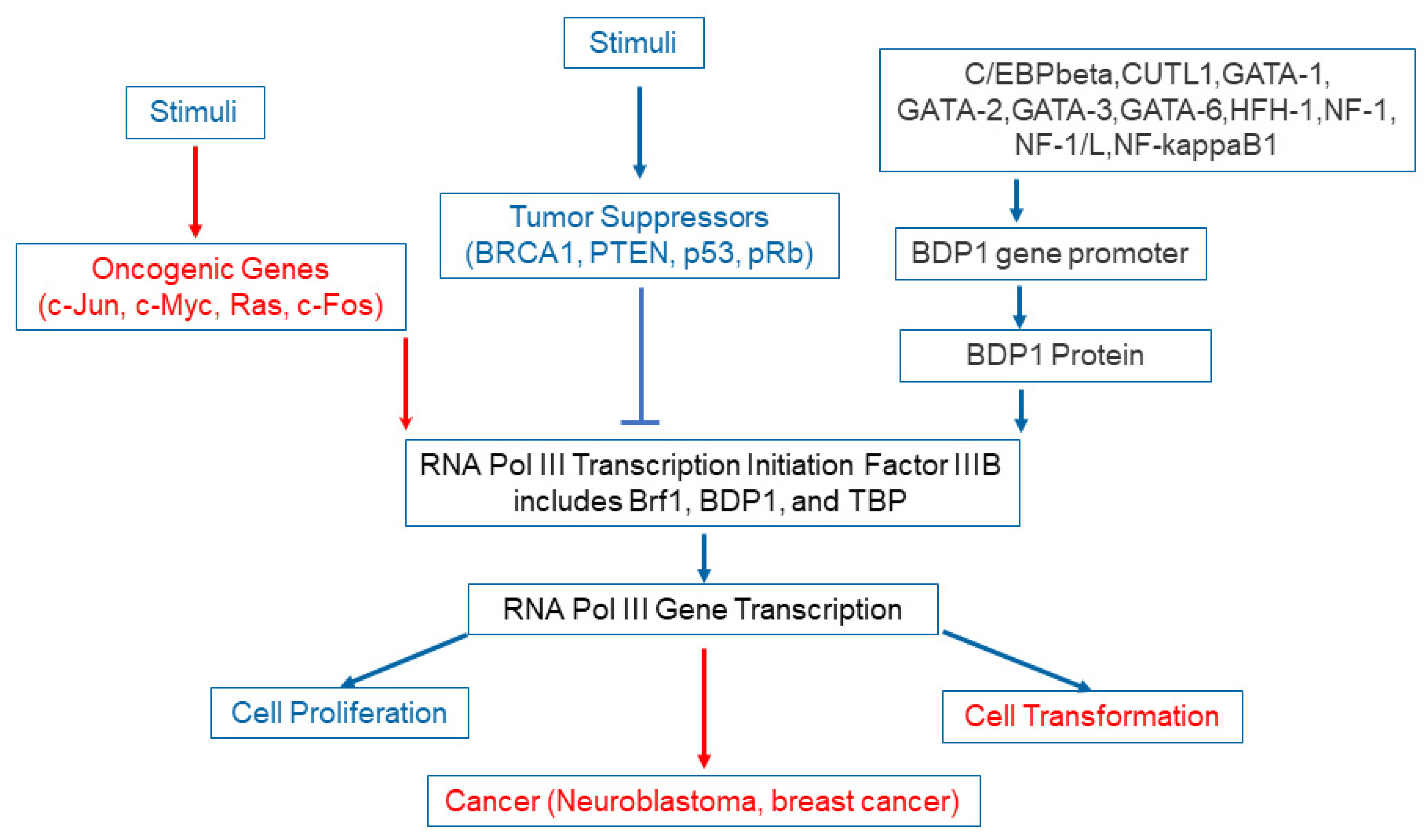 Diagnostics 11 02364 g002 550