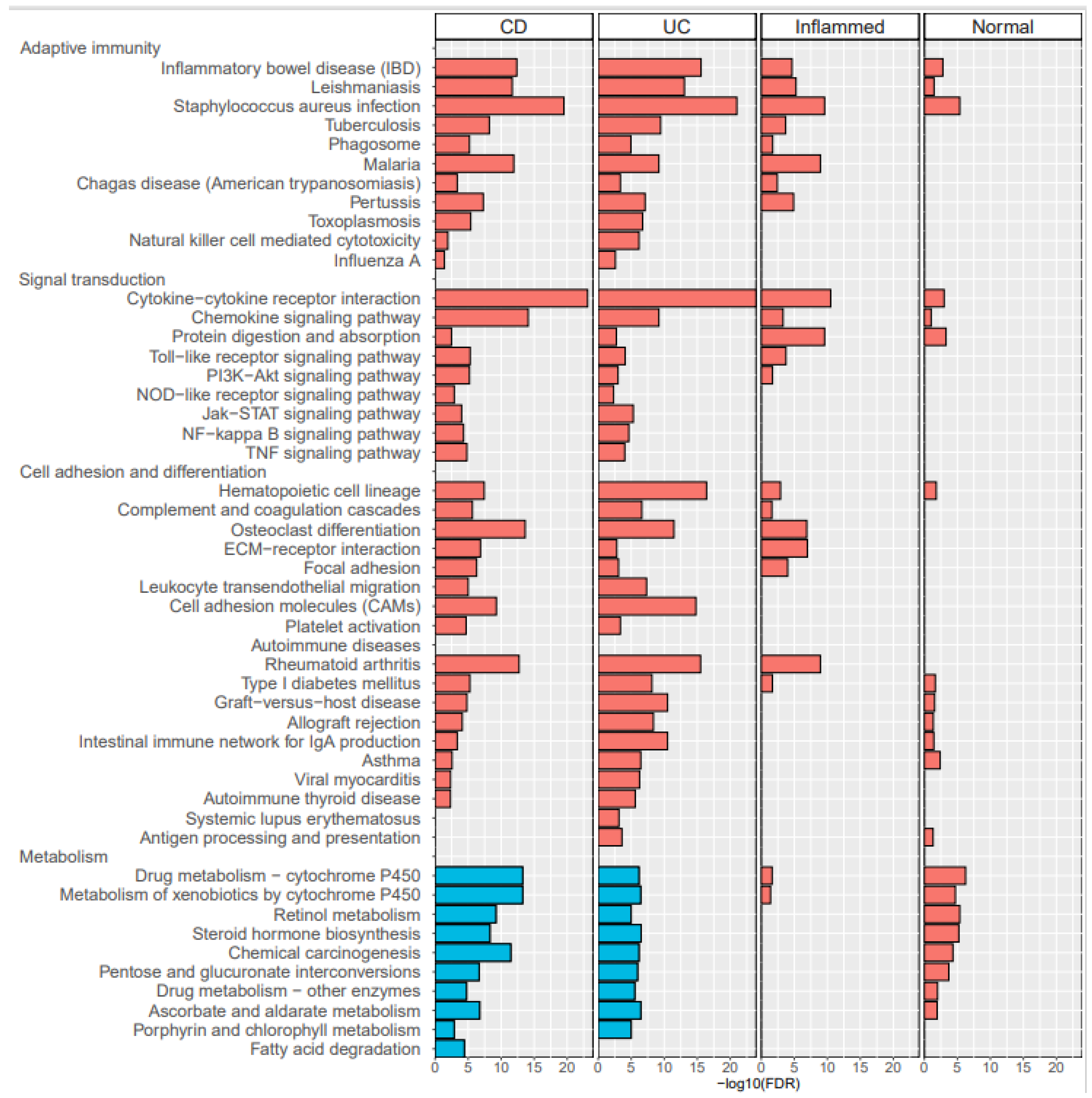 Diagnostics 11 02365 g002