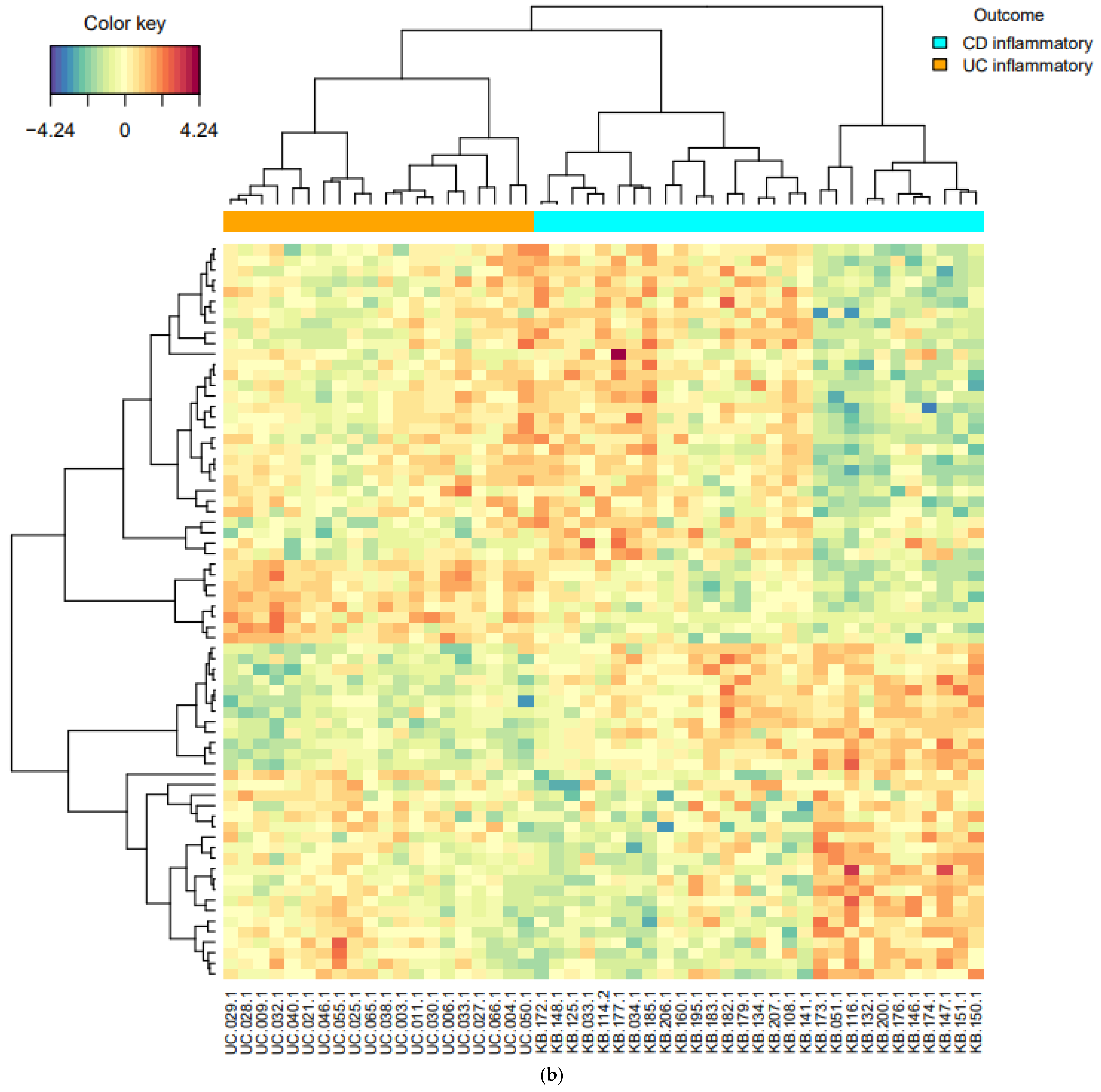 Diagnostics 11 02365 g003b