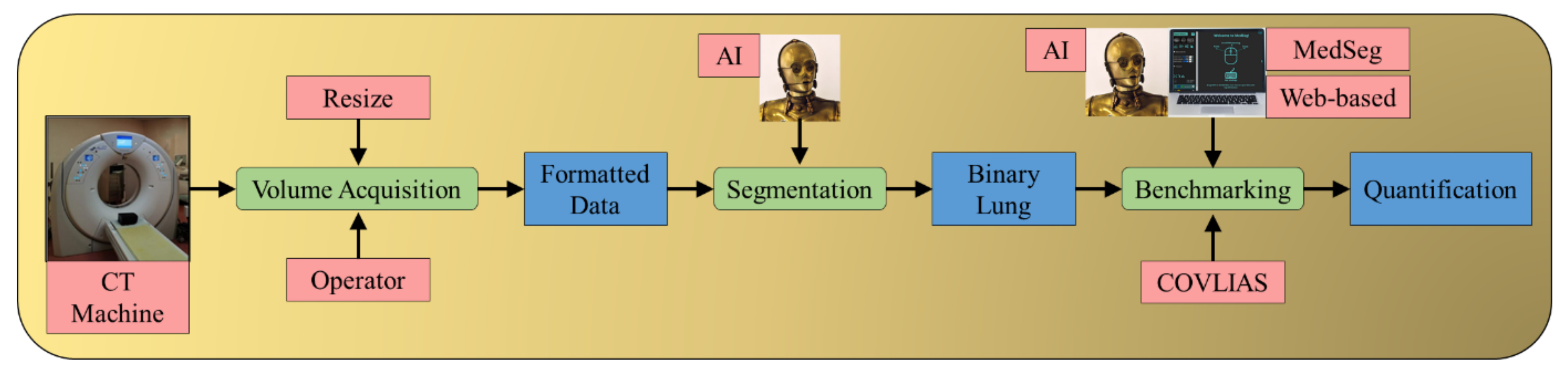Diagnostics 11 02367 g001