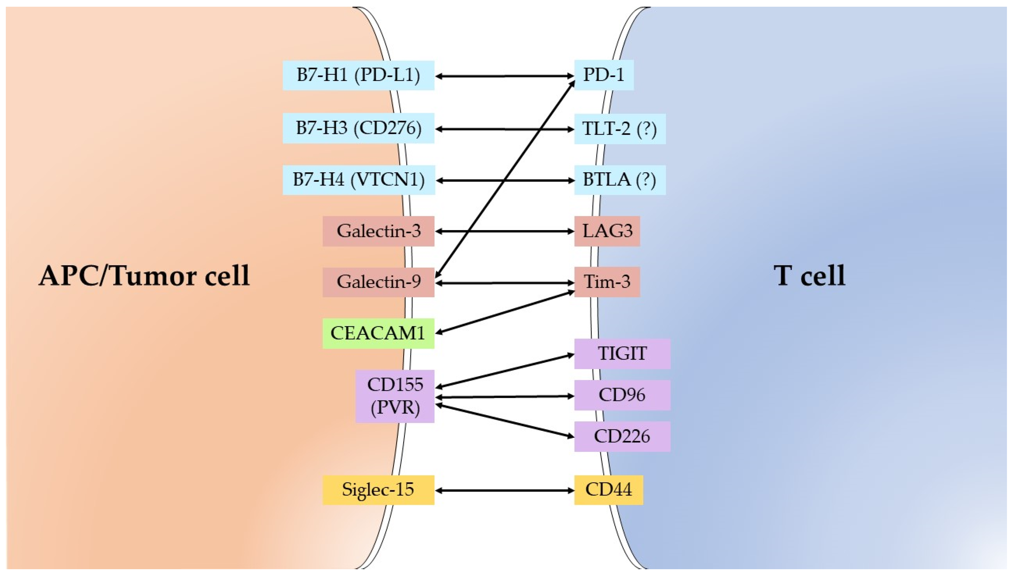 Diagnostics 11 02370 g001 Diagnostics 11 02370 g001