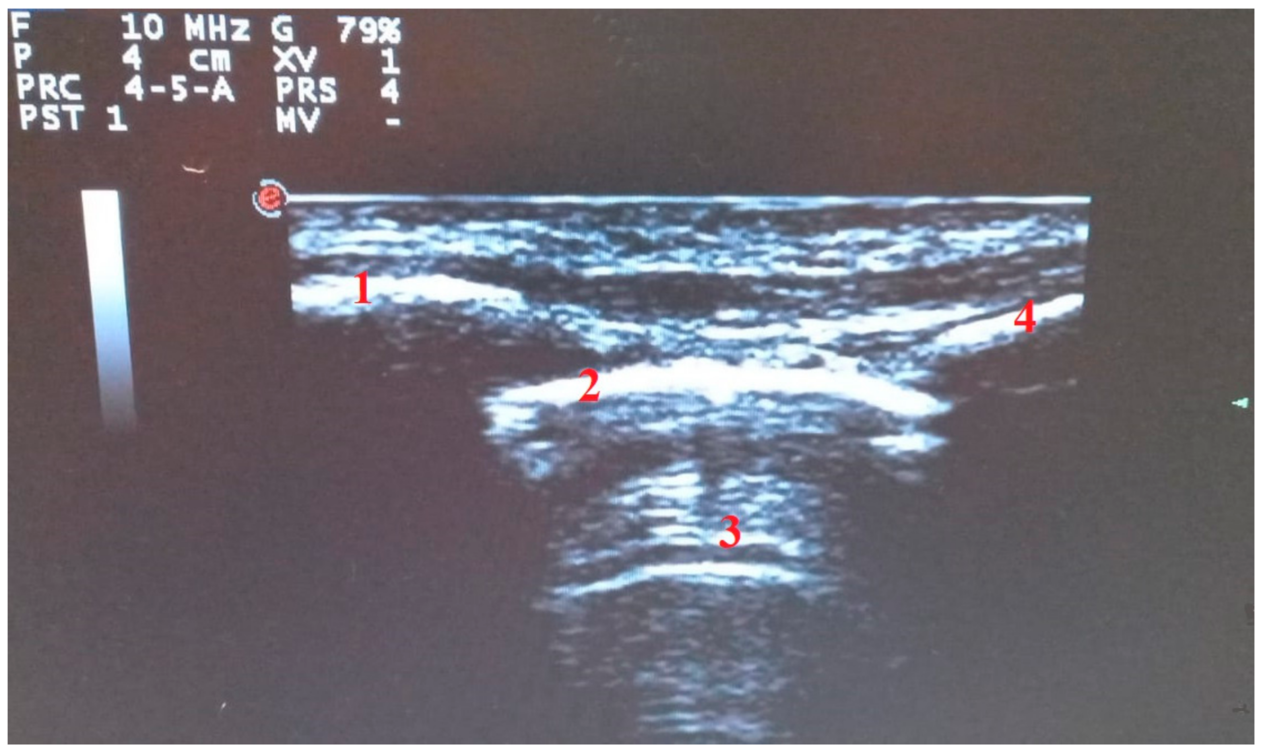 Diagnostics 11 02381 g001 550