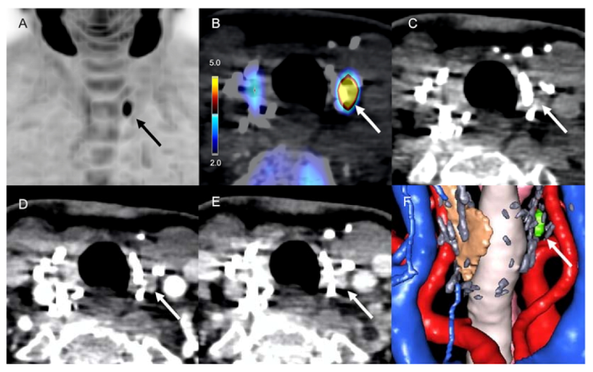 Diagnostics 11 02384 g001 550