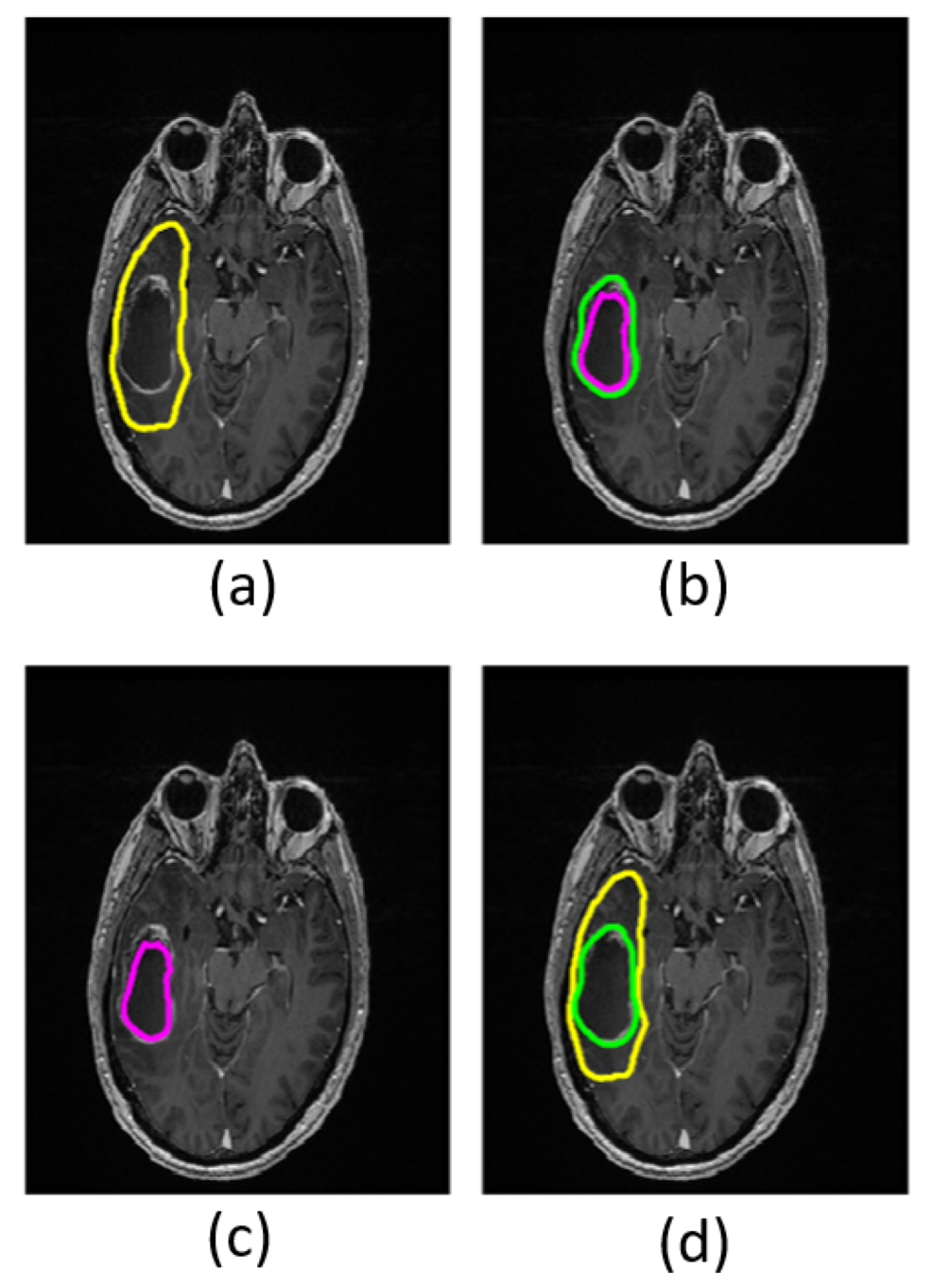 Diagnostics 11 02385 g001 Diagnostics 11 02385 g001