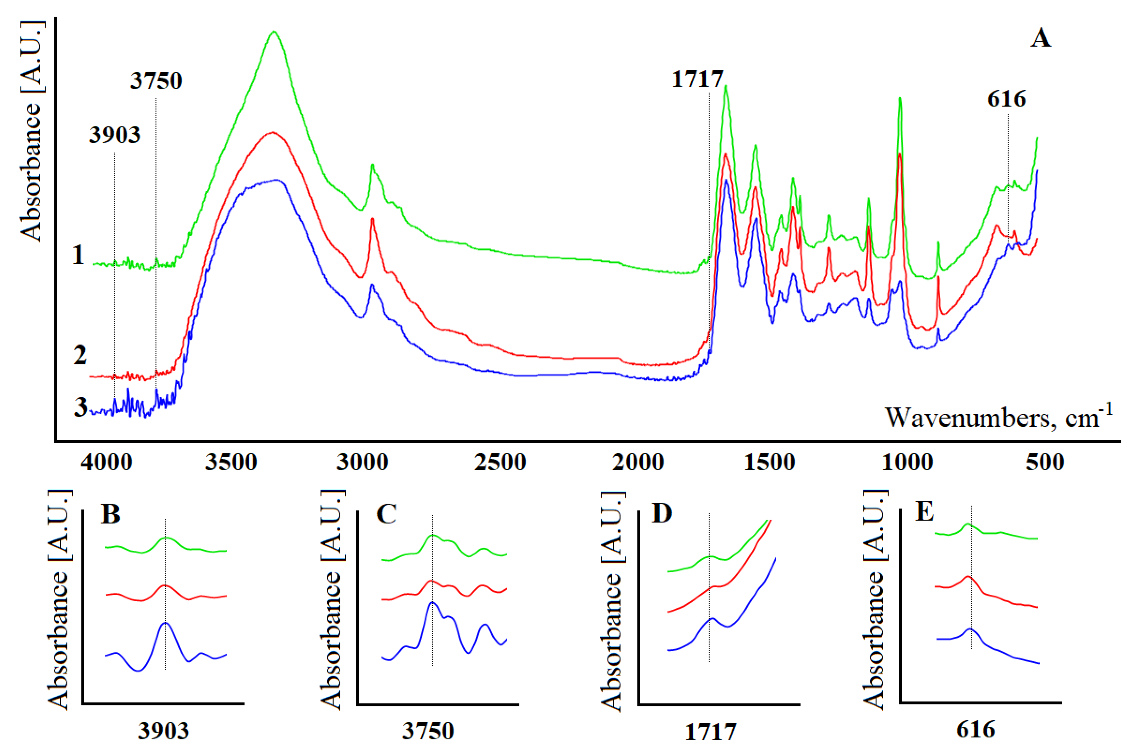 Diagnostics 11 02391 g002 550