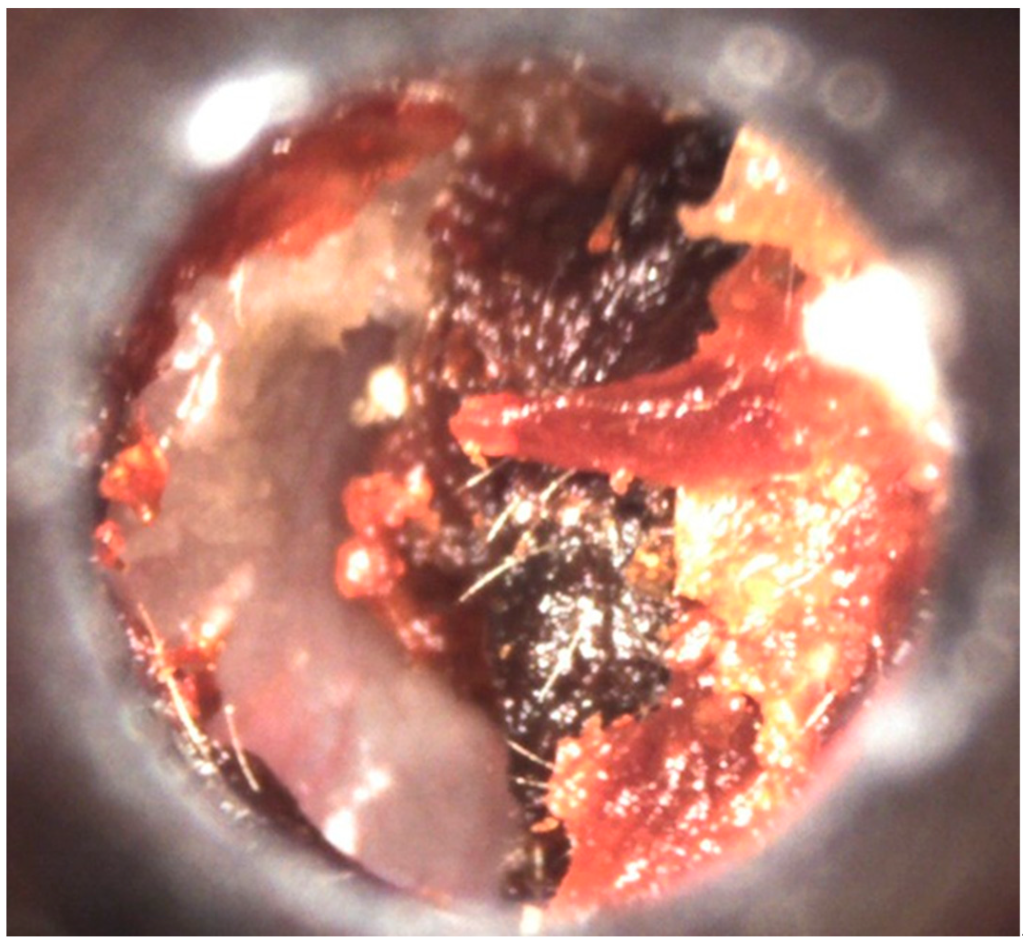 Diagnostics 11 02392 g002