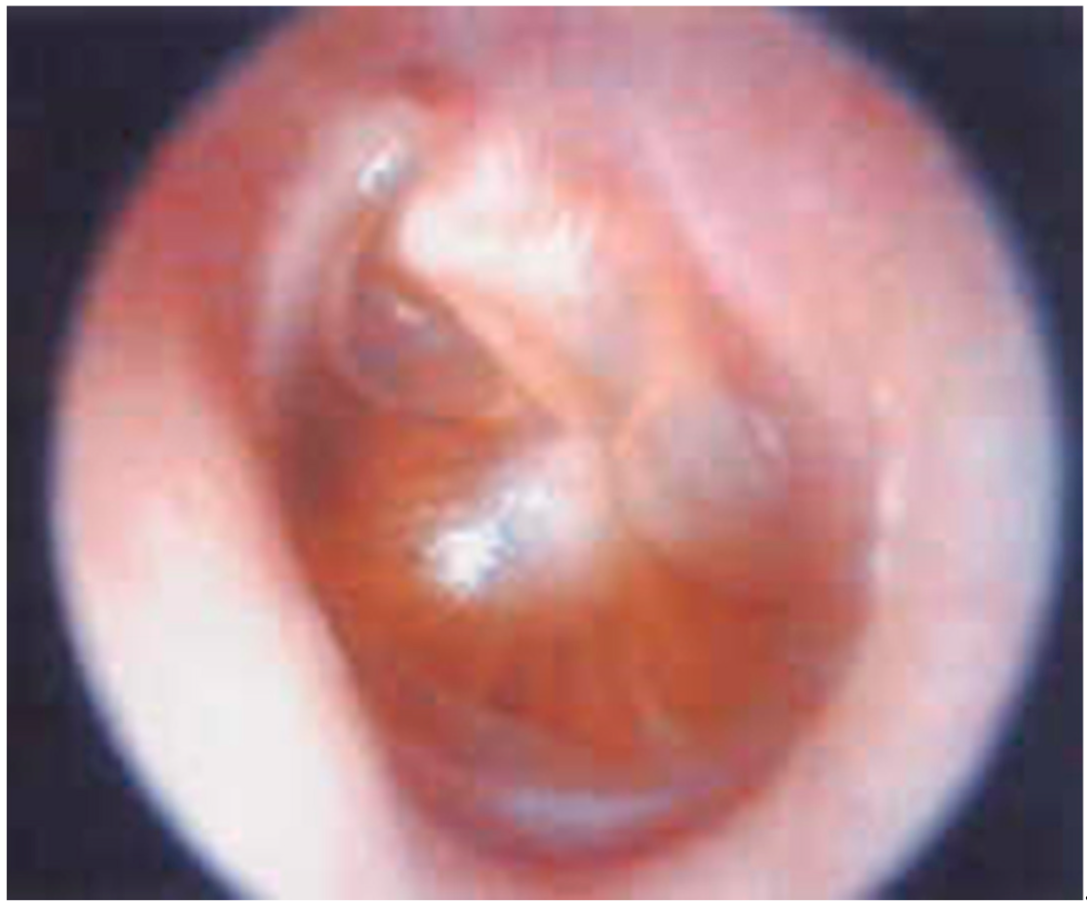 Diagnostics 11 02392 g003