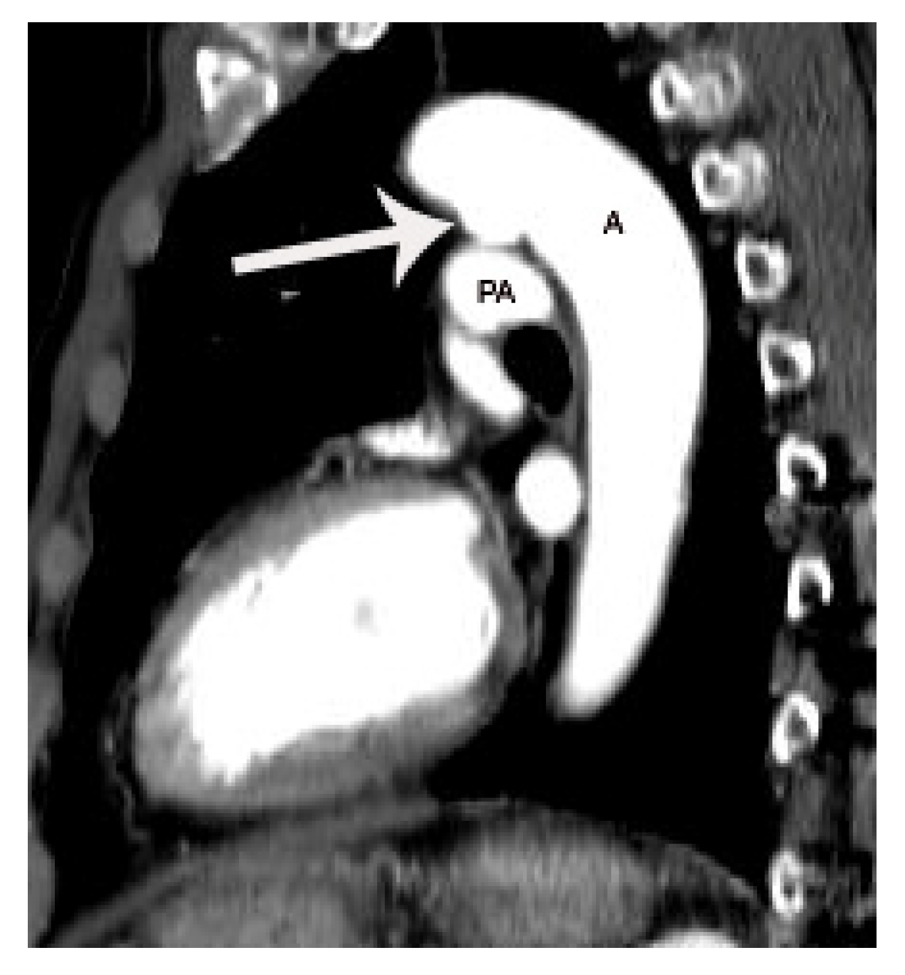 Diagnostics 11 02394 g007