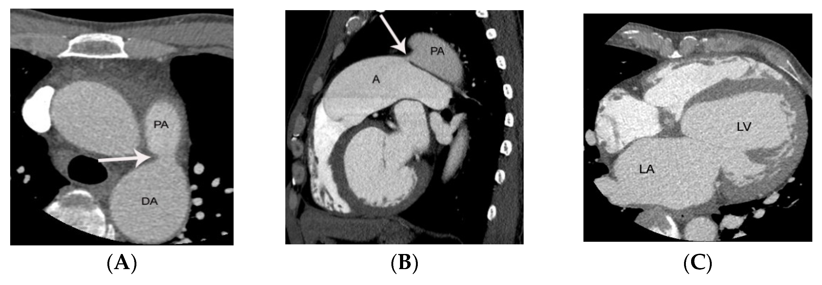 Diagnostics 11 02394 g008