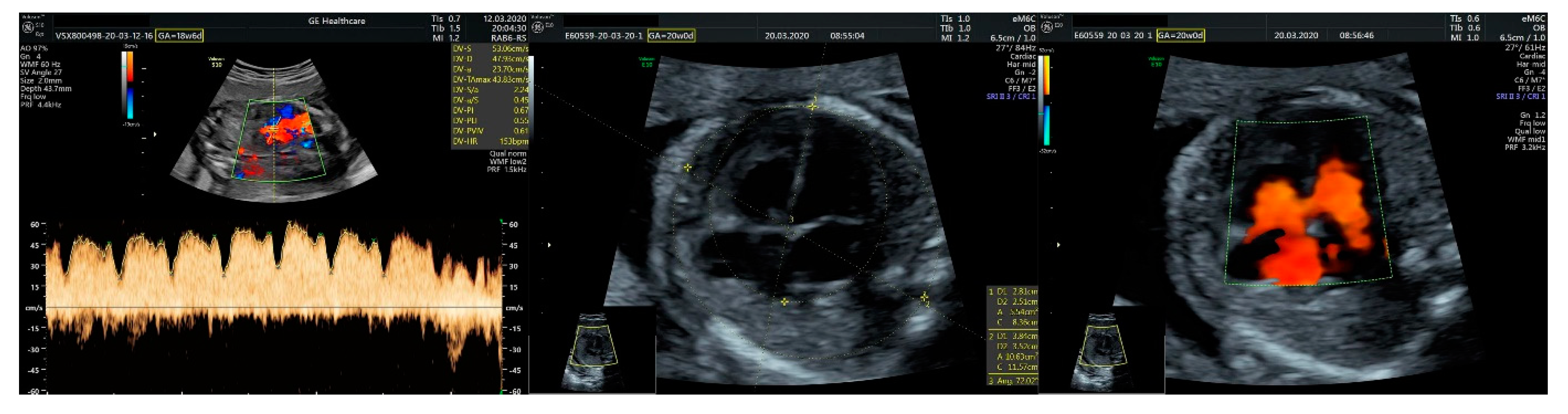 Diagnostics 11 02398 g001