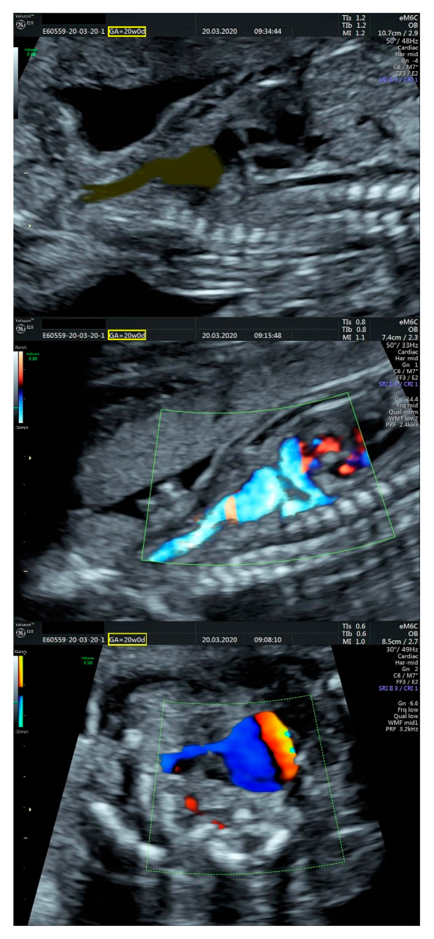 Diagnostics 11 02398 g006