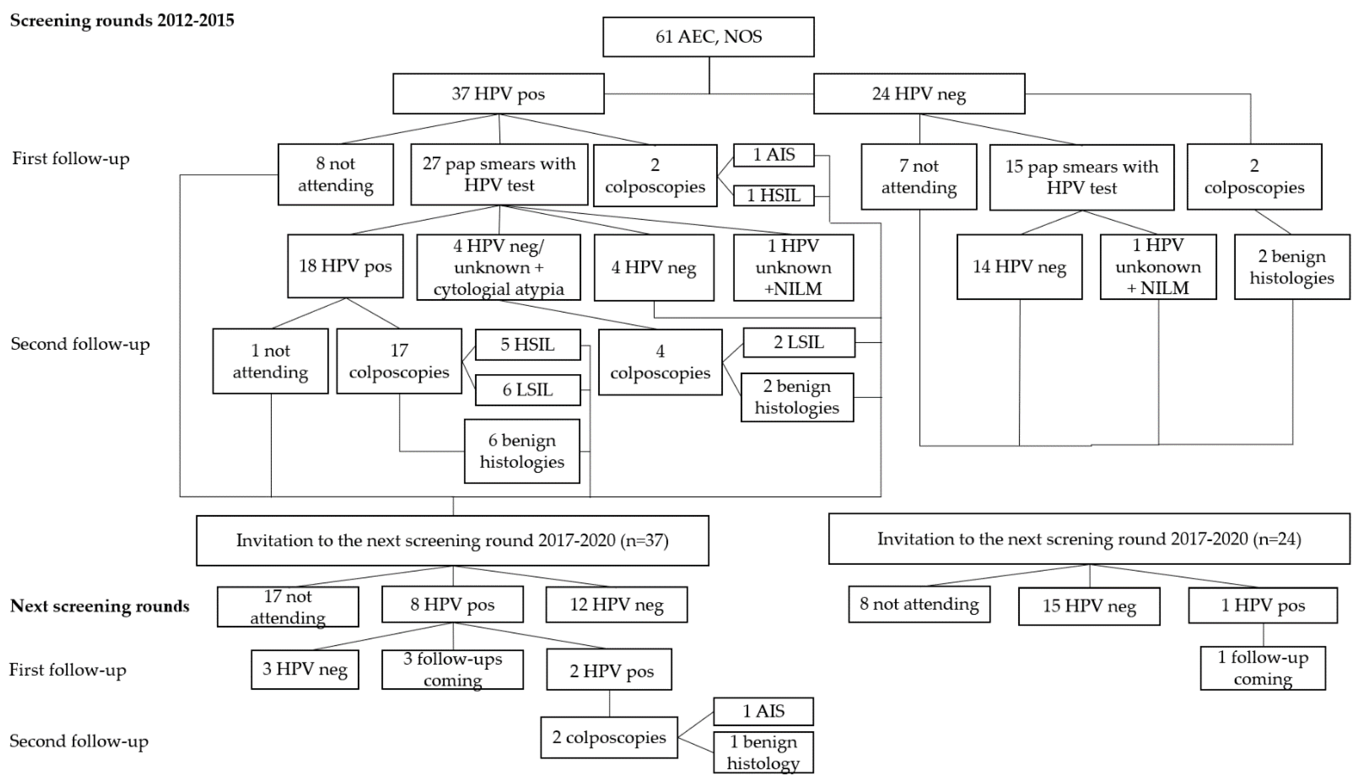 Diagnostics 11 02402 g001