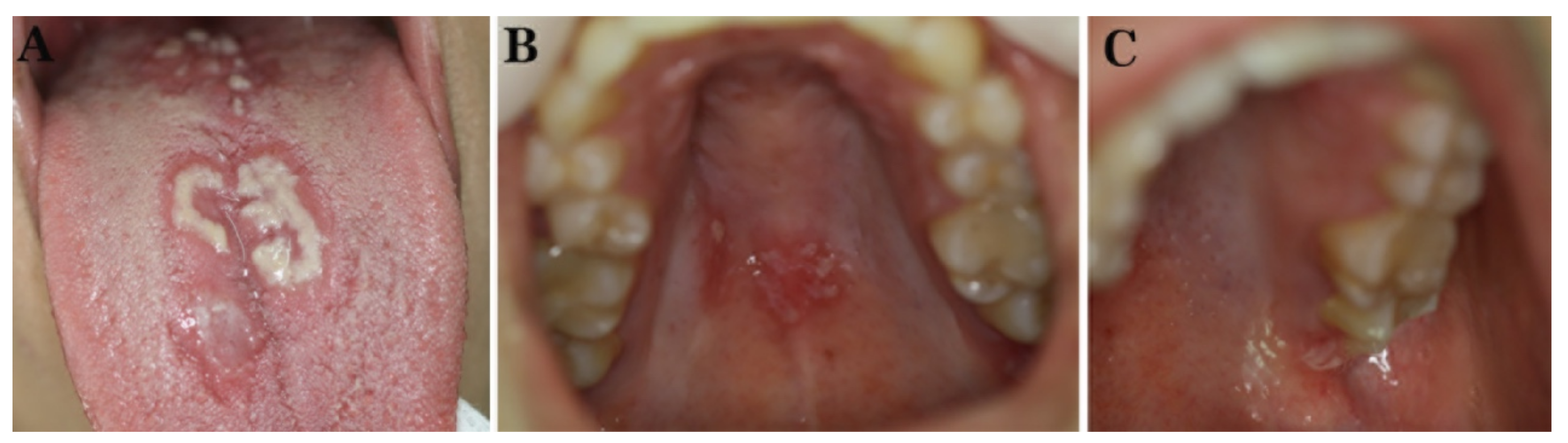 Diagnostics 12 00003 g001