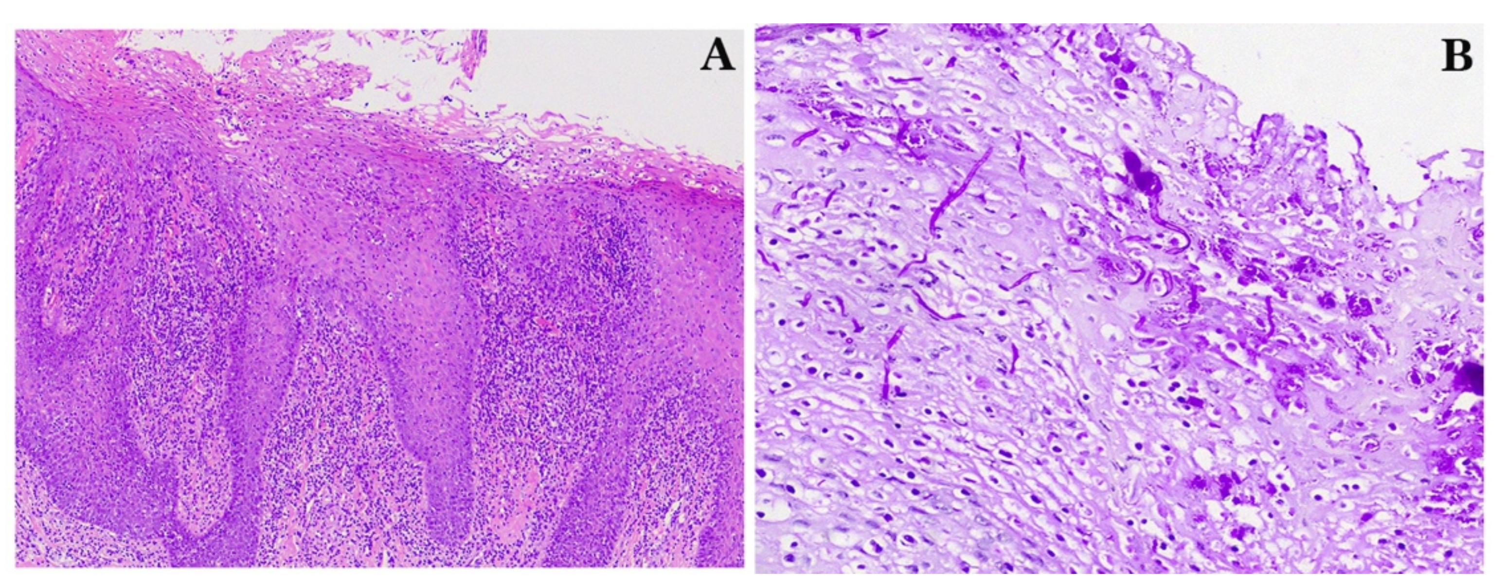 Diagnostics 12 00003 g002