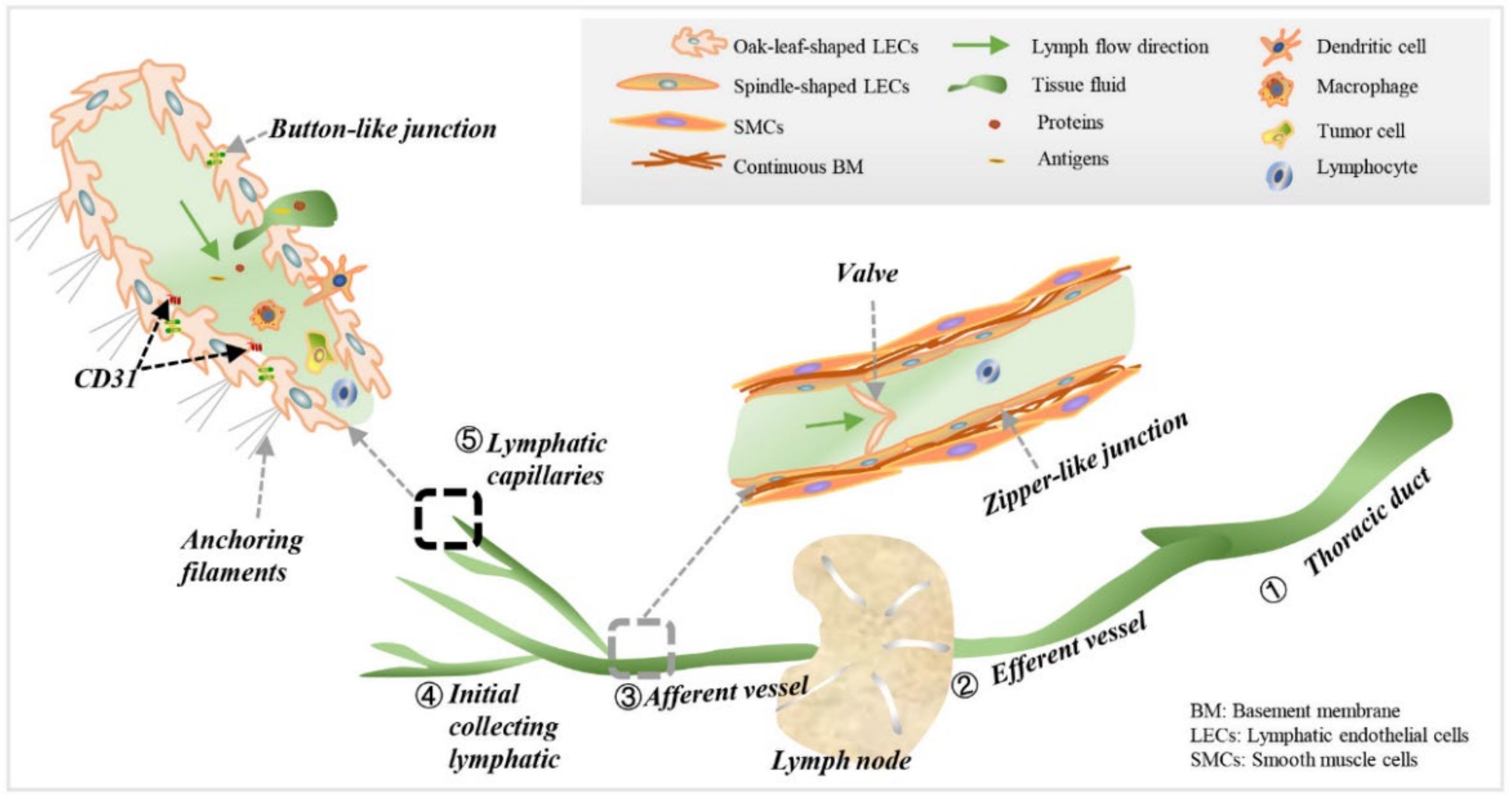 Diagnostics 12 00004 g001