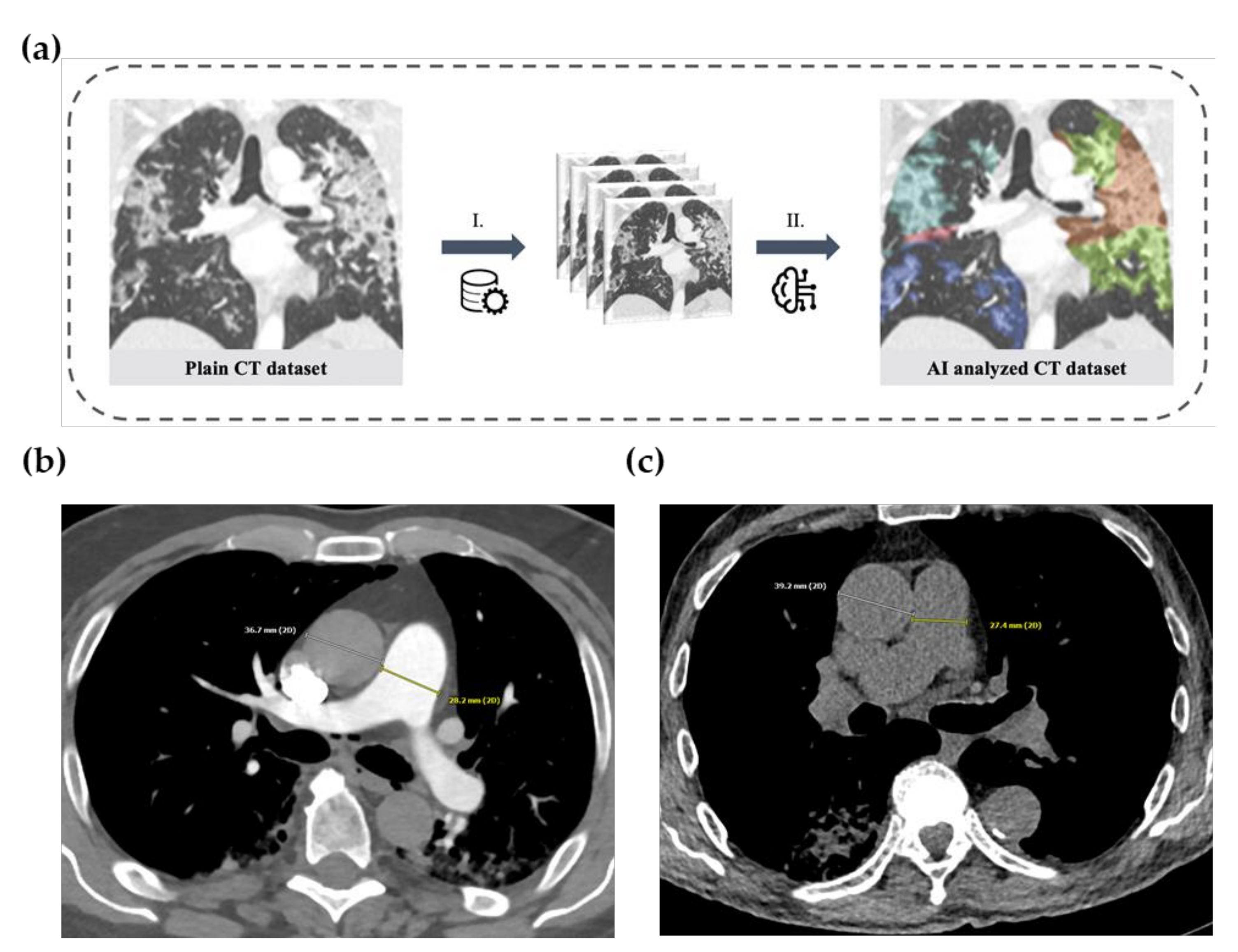 Diagnostics 12 00010 g002 550