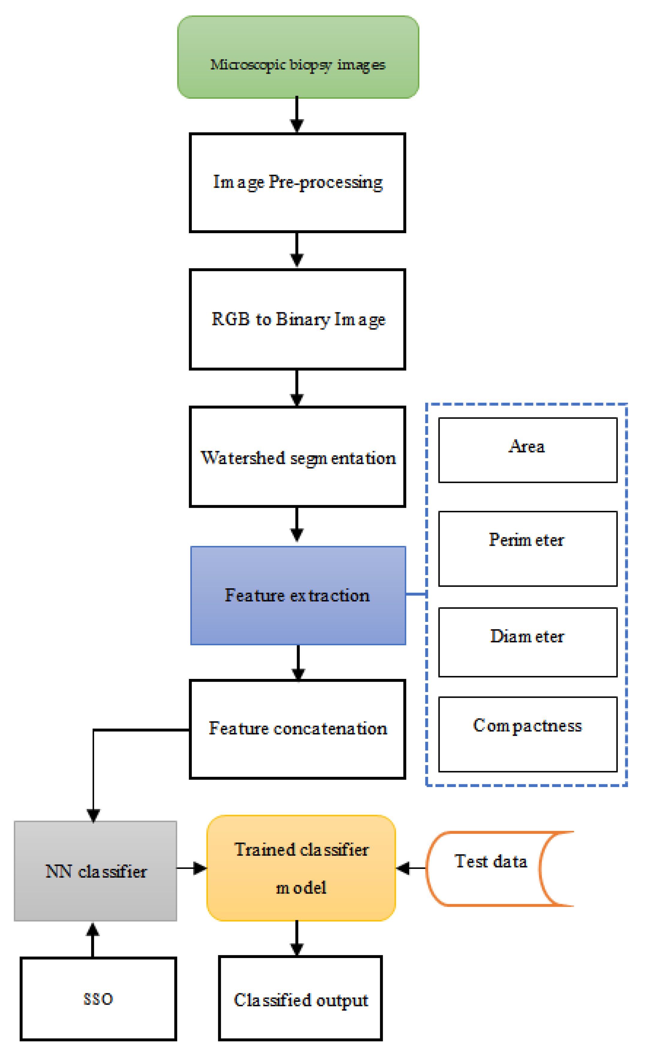 Diagnostics 12 00011 g002