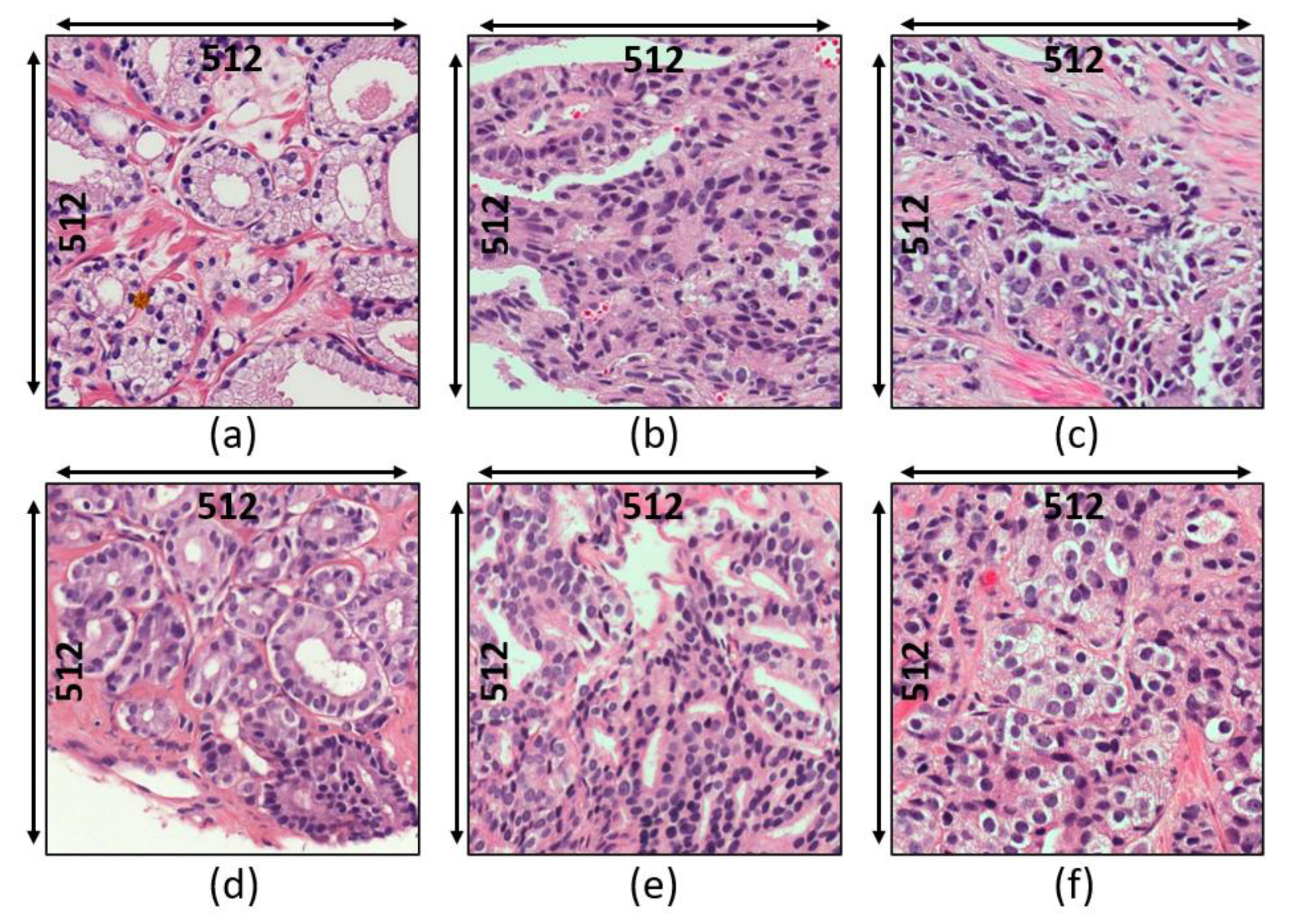 Diagnostics 12 00015 g001 Diagnostics 12 00015 g001