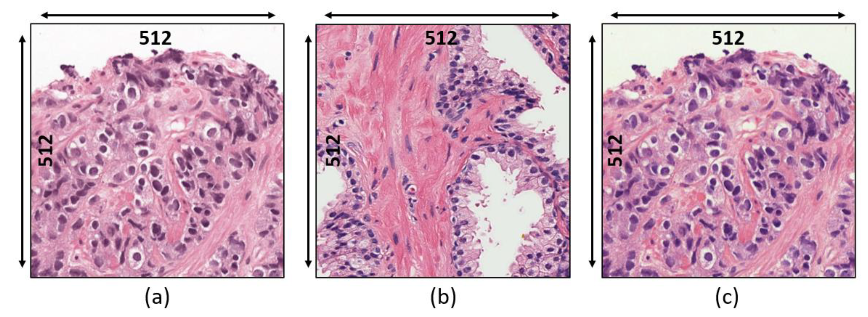 Diagnostics 12 00015 g003 Diagnostics 12 00015 g003