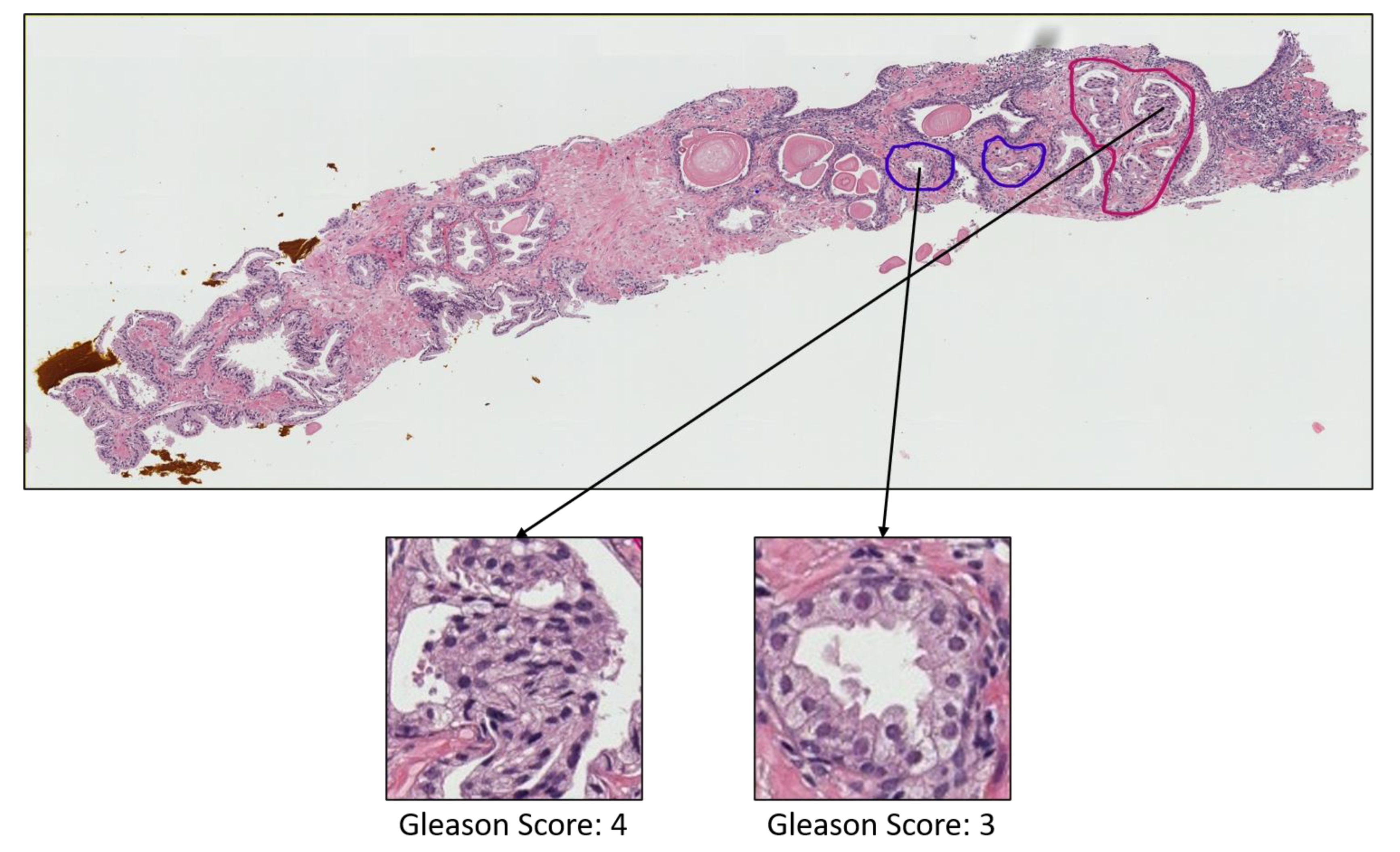 Diagnostics 12 00015 g0a3 Diagnostics 12 00015 g0a3