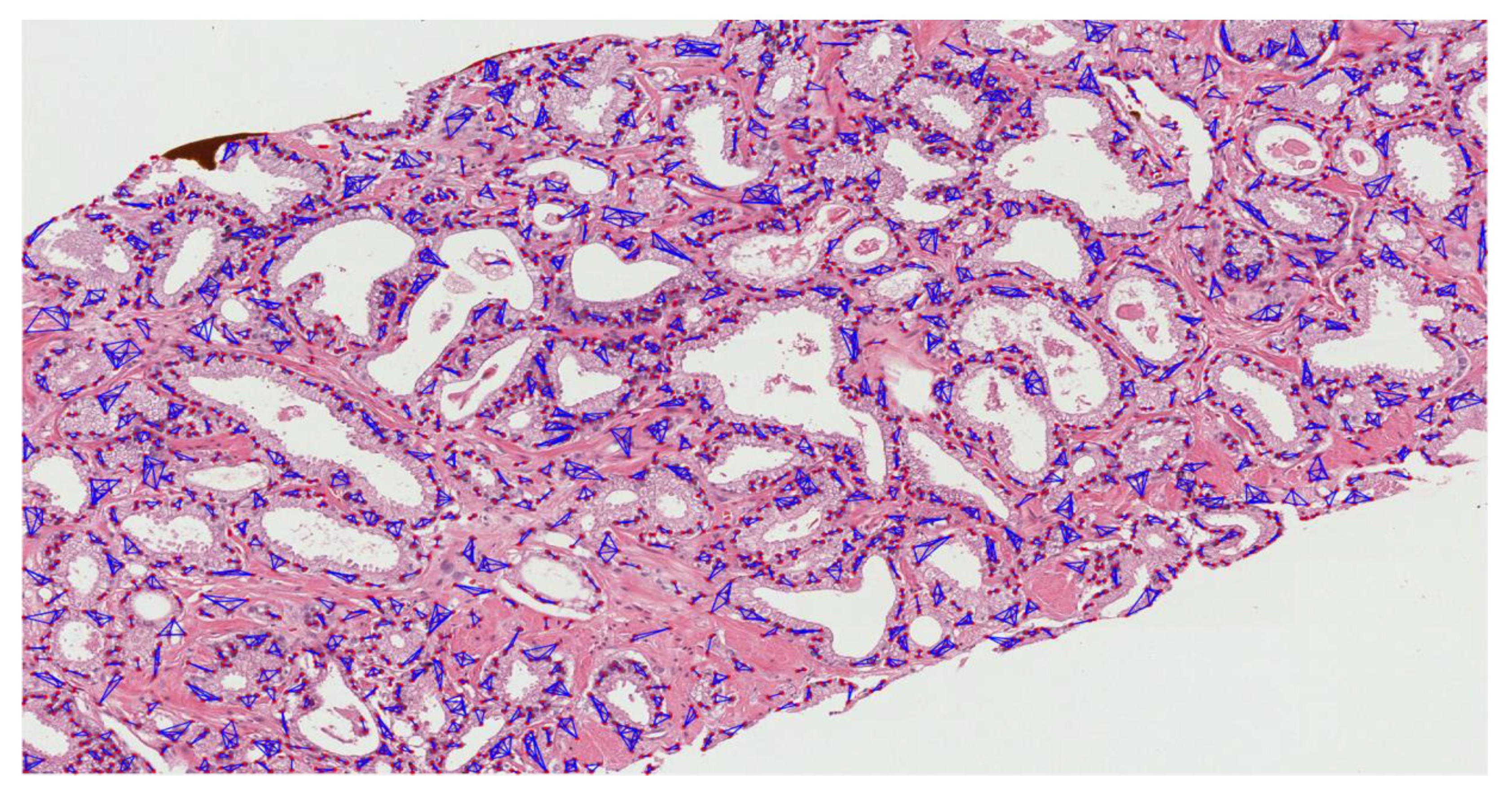 Diagnostics 12 00015 g0a4 Diagnostics 12 00015 g0a4