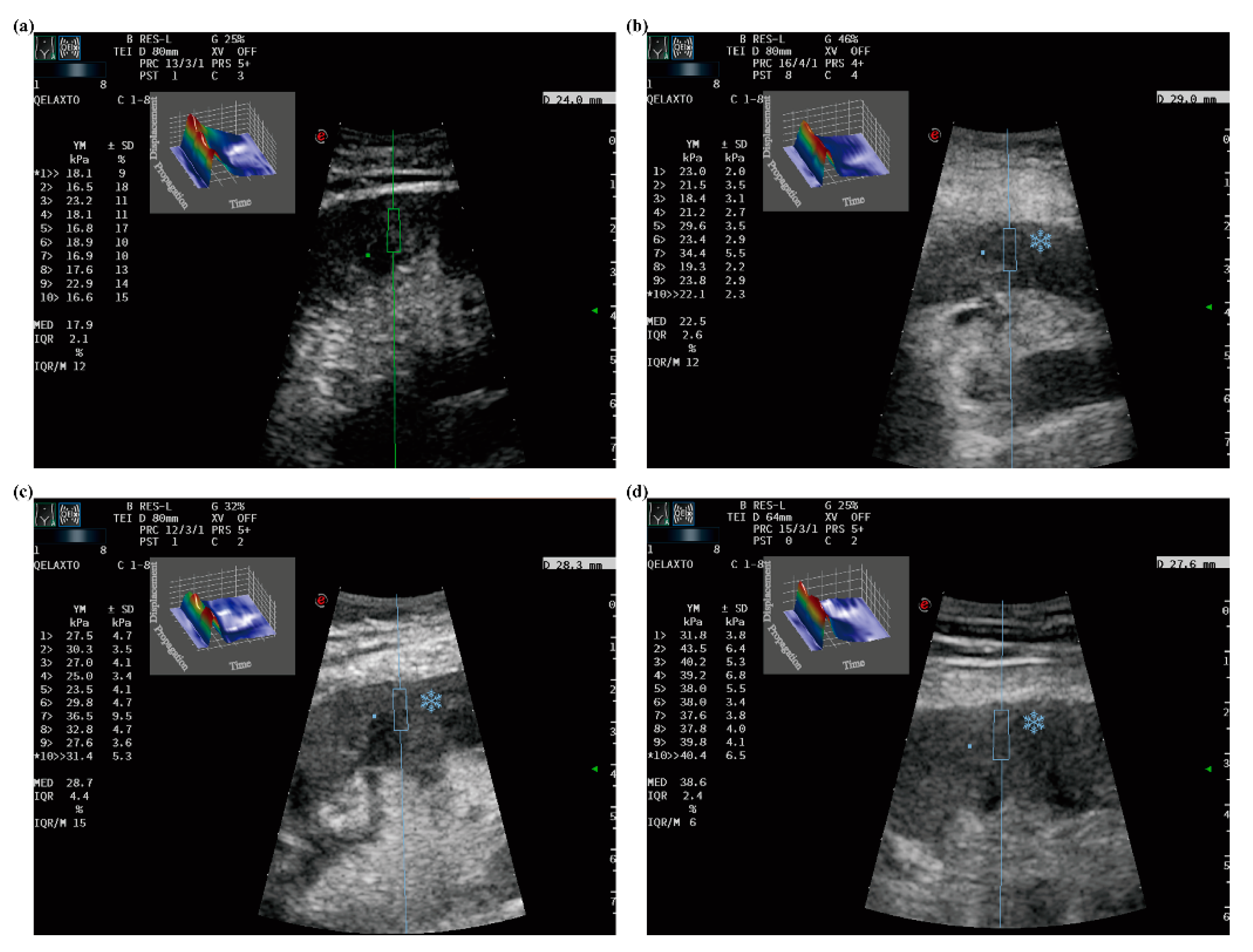 Diagnostics 12 00018 g003