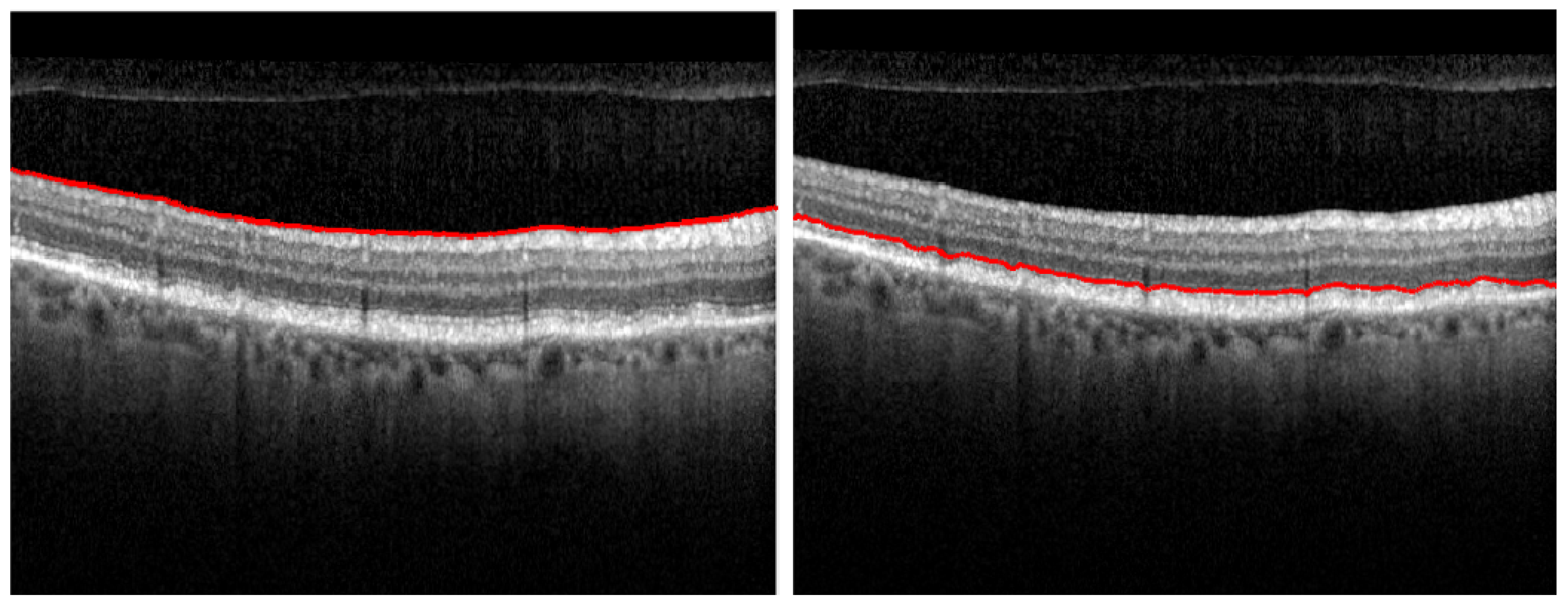 Diagnostics 12 00022 g003