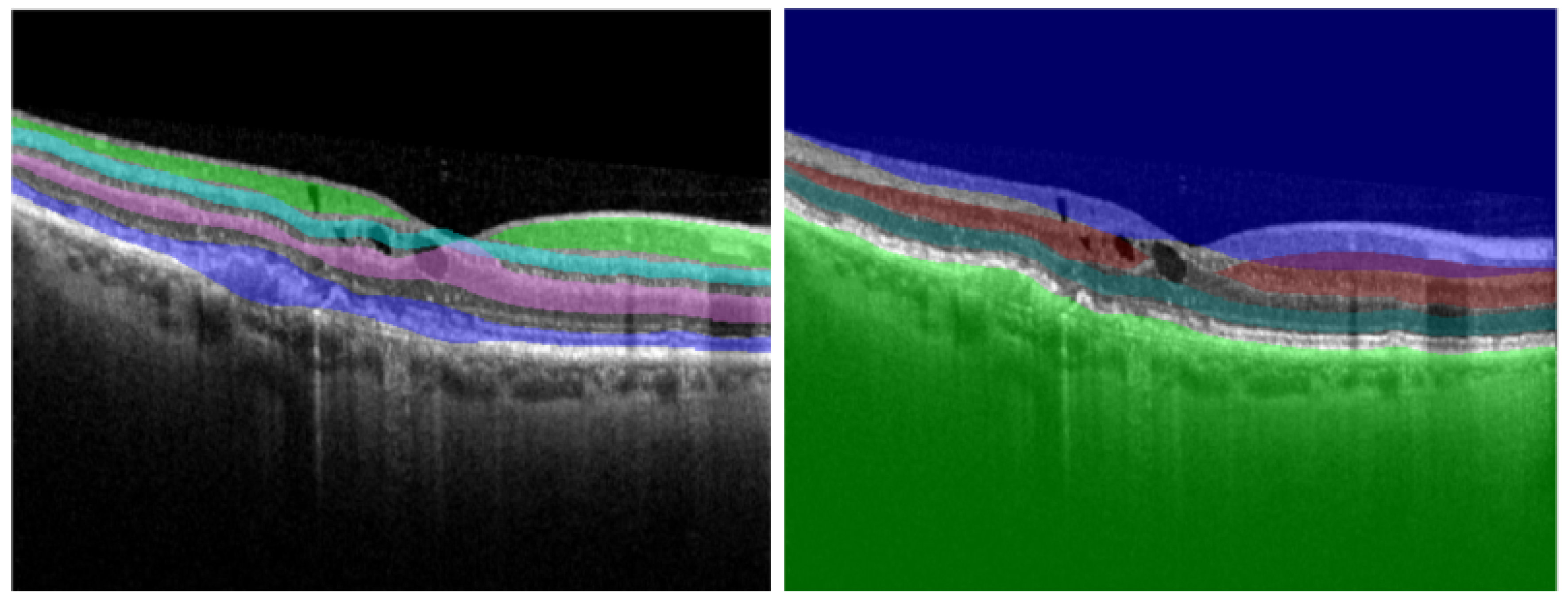 Diagnostics 12 00022 g004