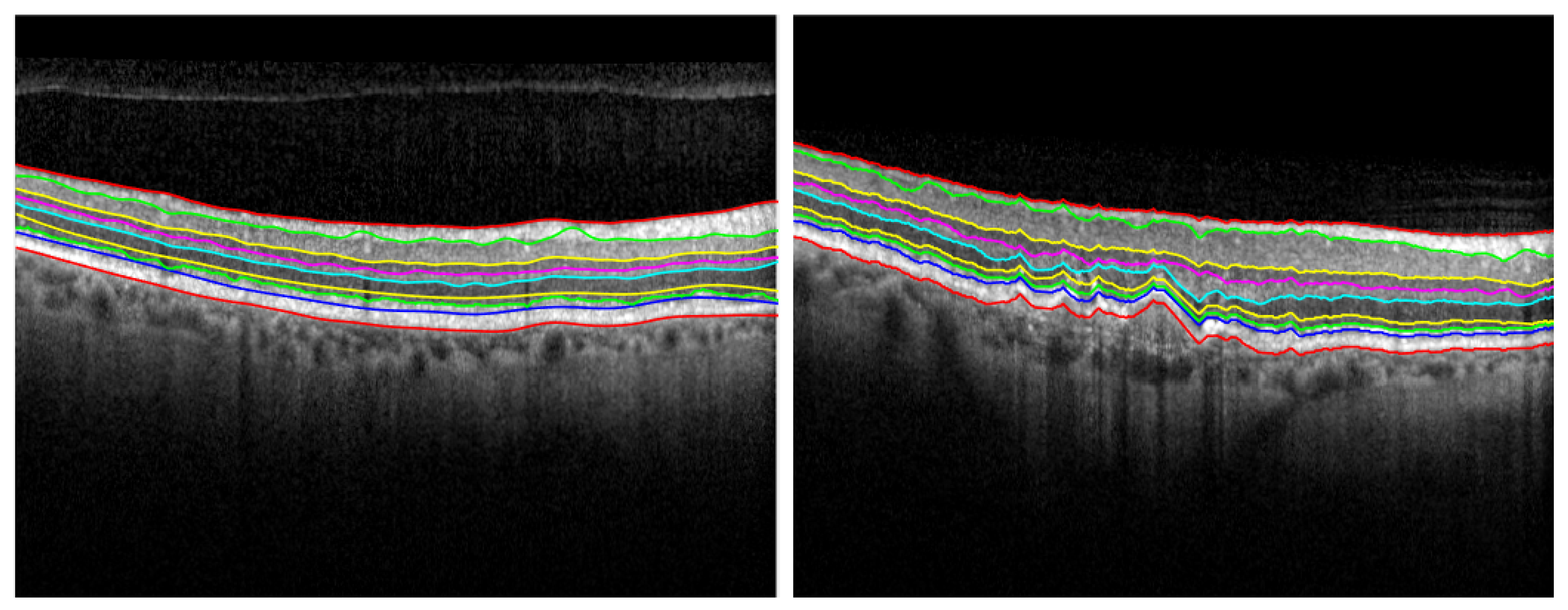 Diagnostics 12 00022 g005