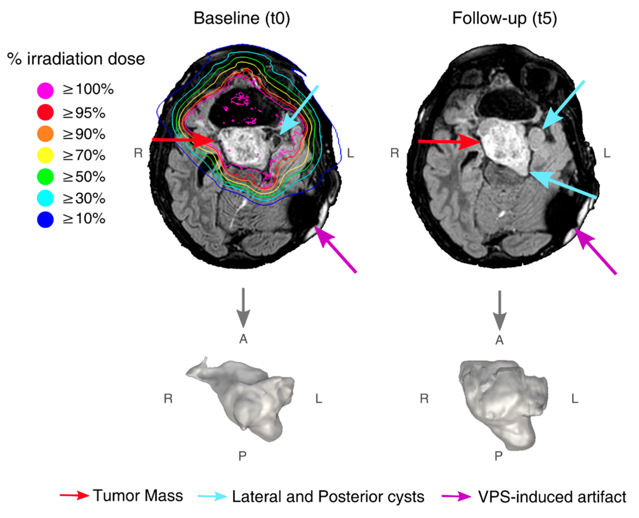 Diagnostics 12 00026 g001 550