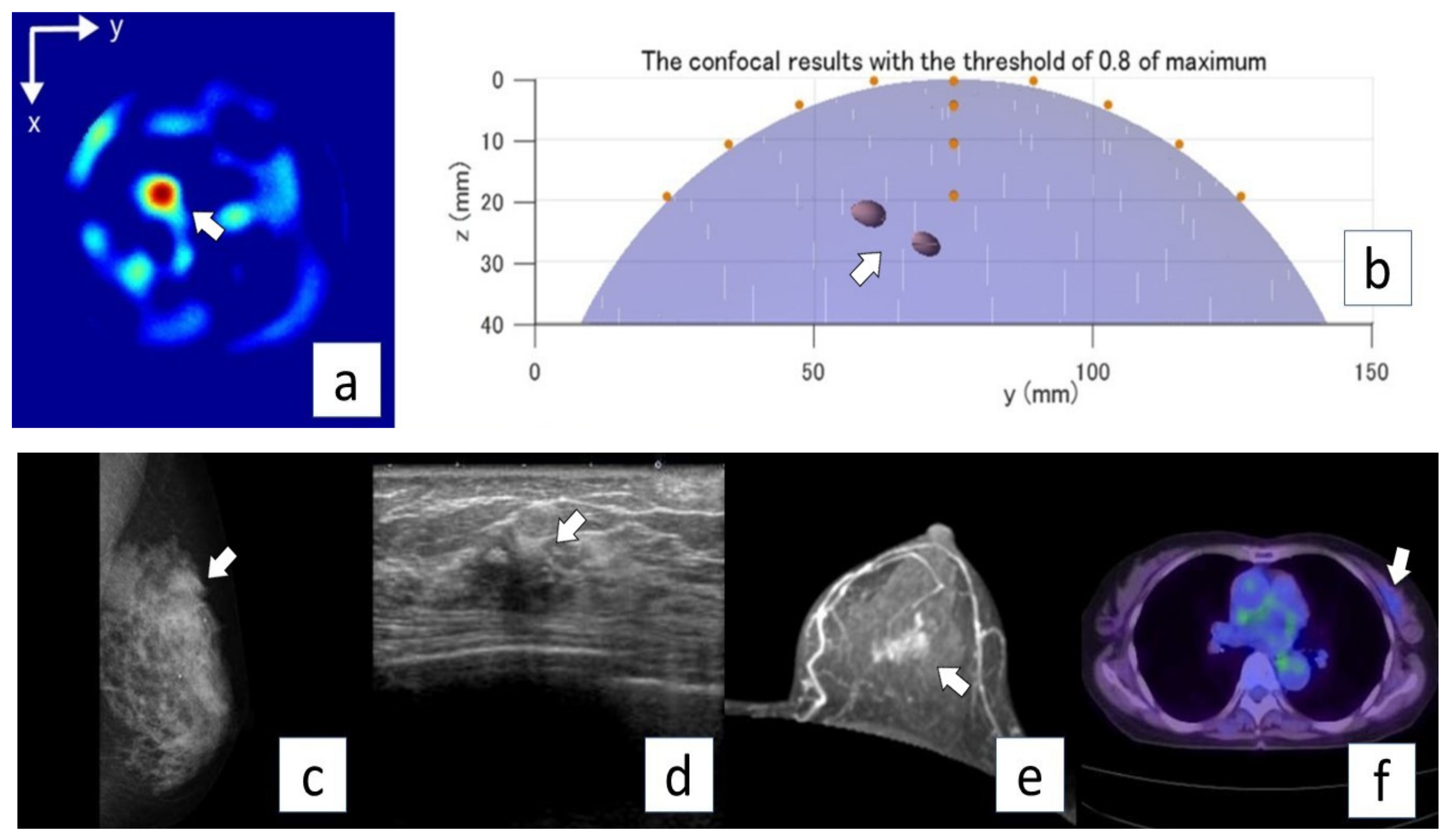 Diagnostics 12 00027 g005