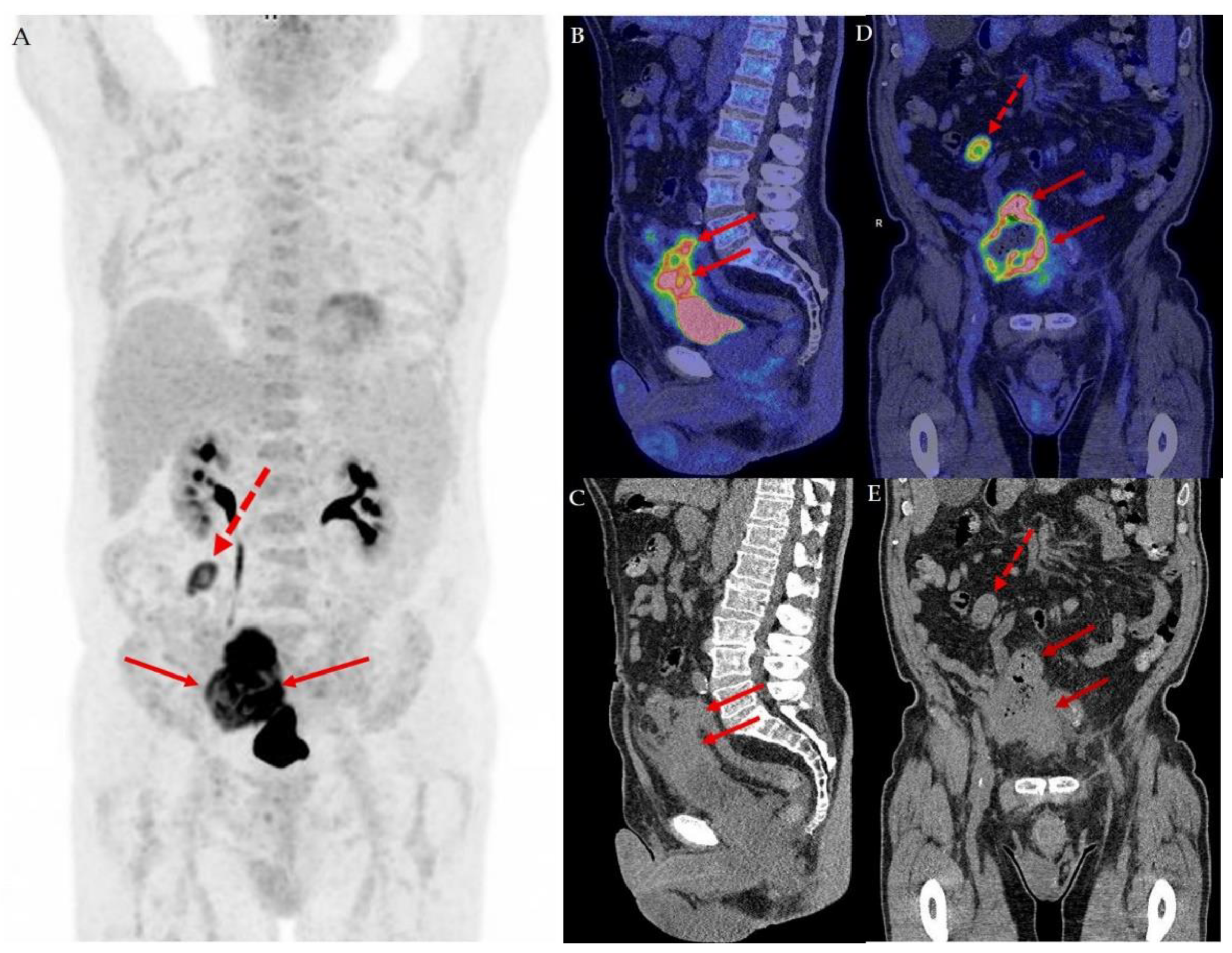 Diagnostics 12 00031 g001 Diagnostics 12 00031 g001