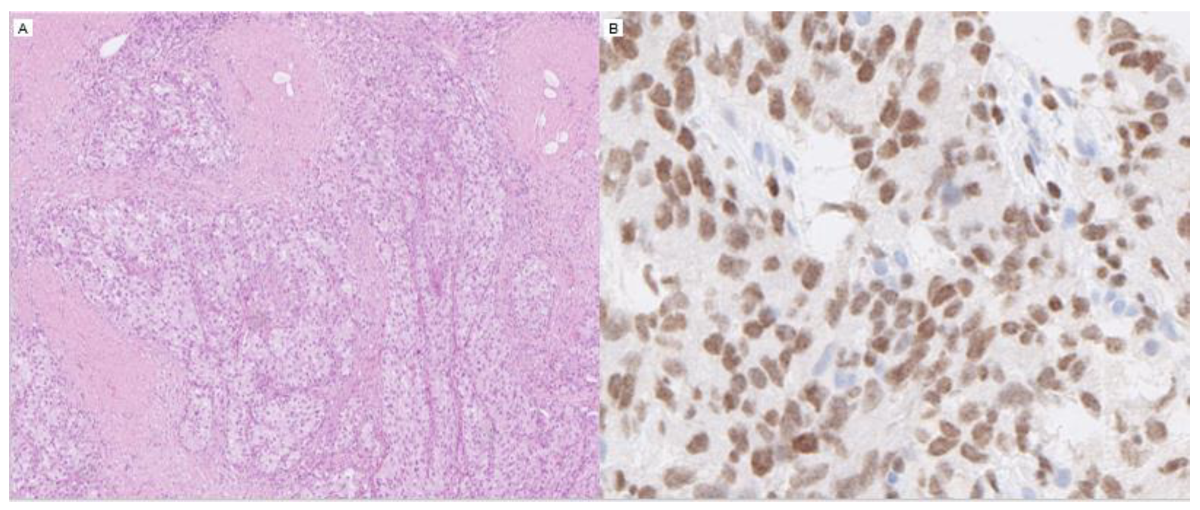 Diagnostics 12 00031 g002 Diagnostics 12 00031 g002