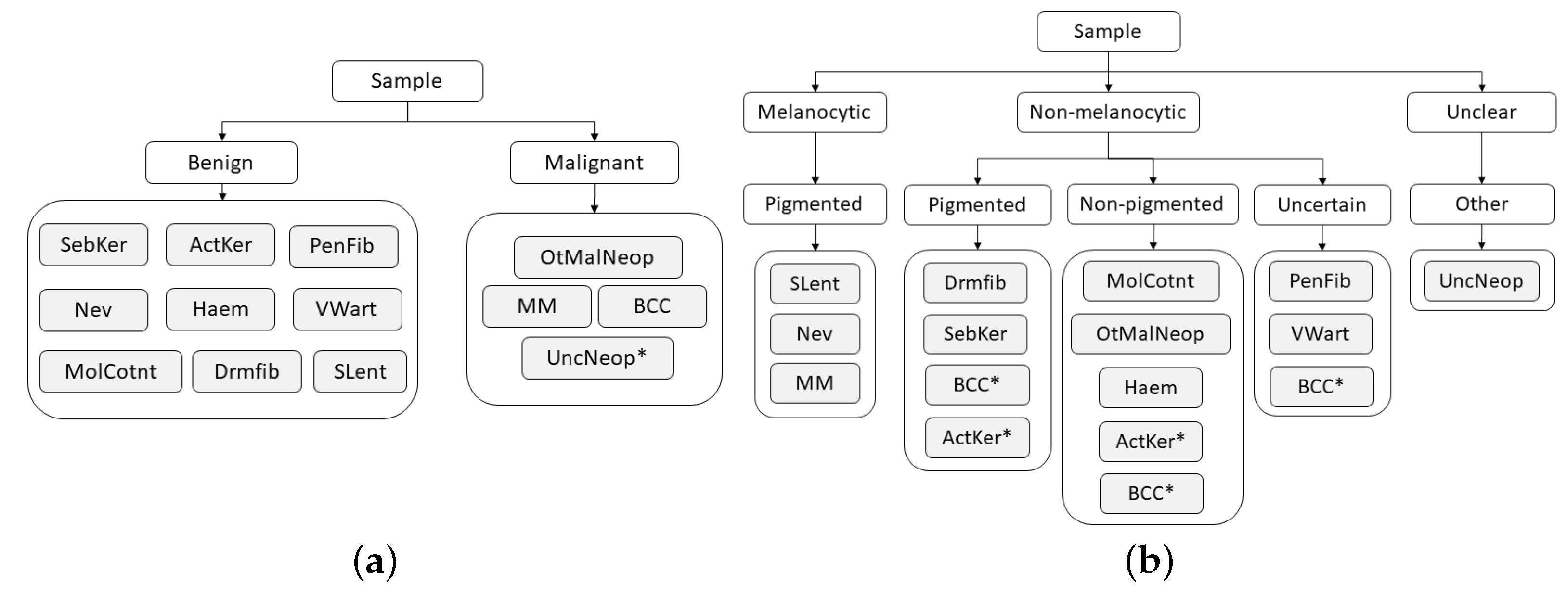 Diagnostics 12 00036 g004 550