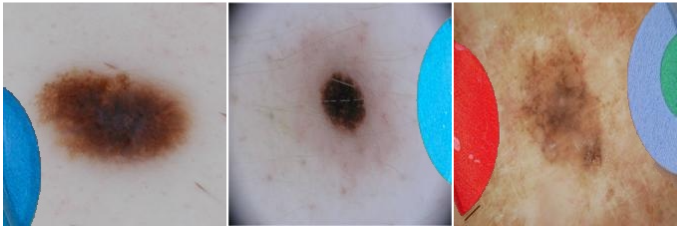 Diagnostics 12 00040 g003 550