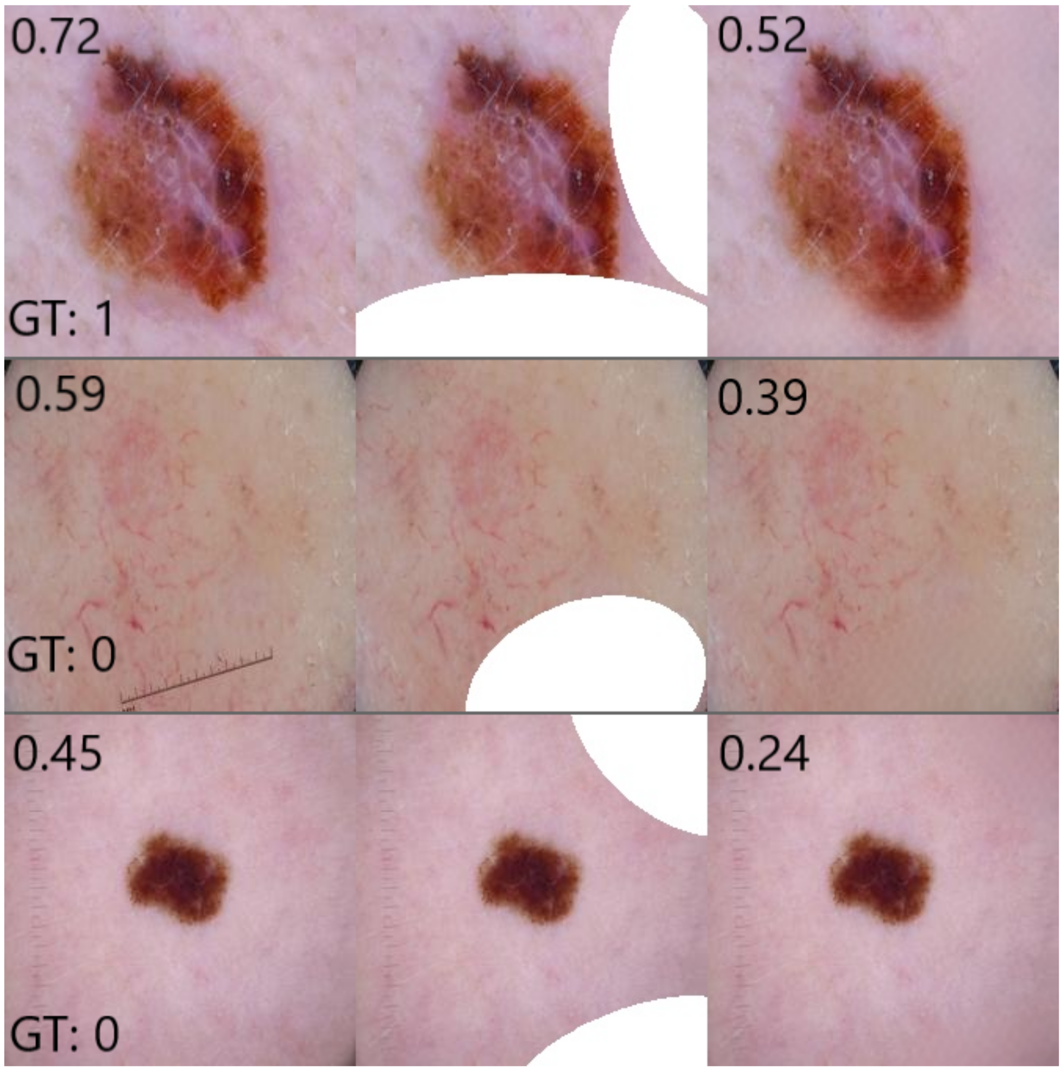 Diagnostics 12 00040 g005 550