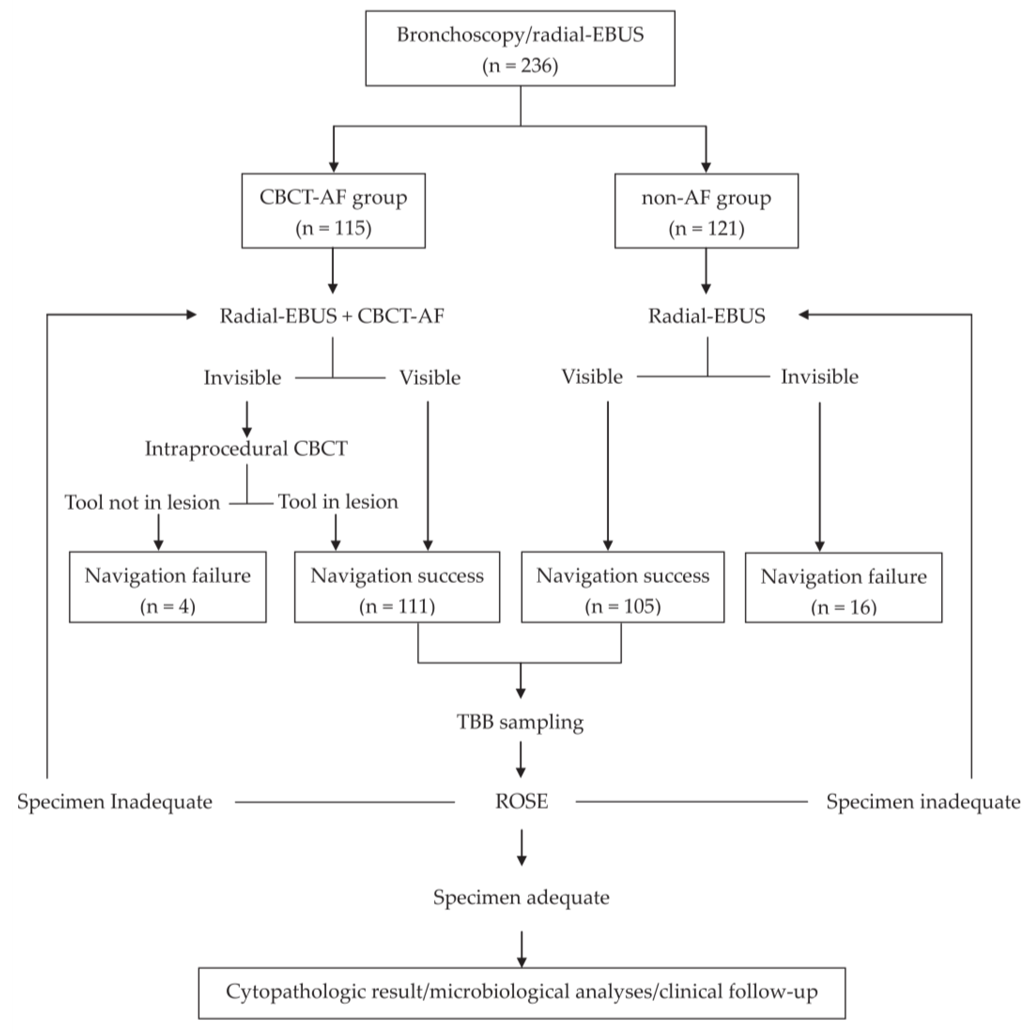 Diagnostics 12 00041 g001