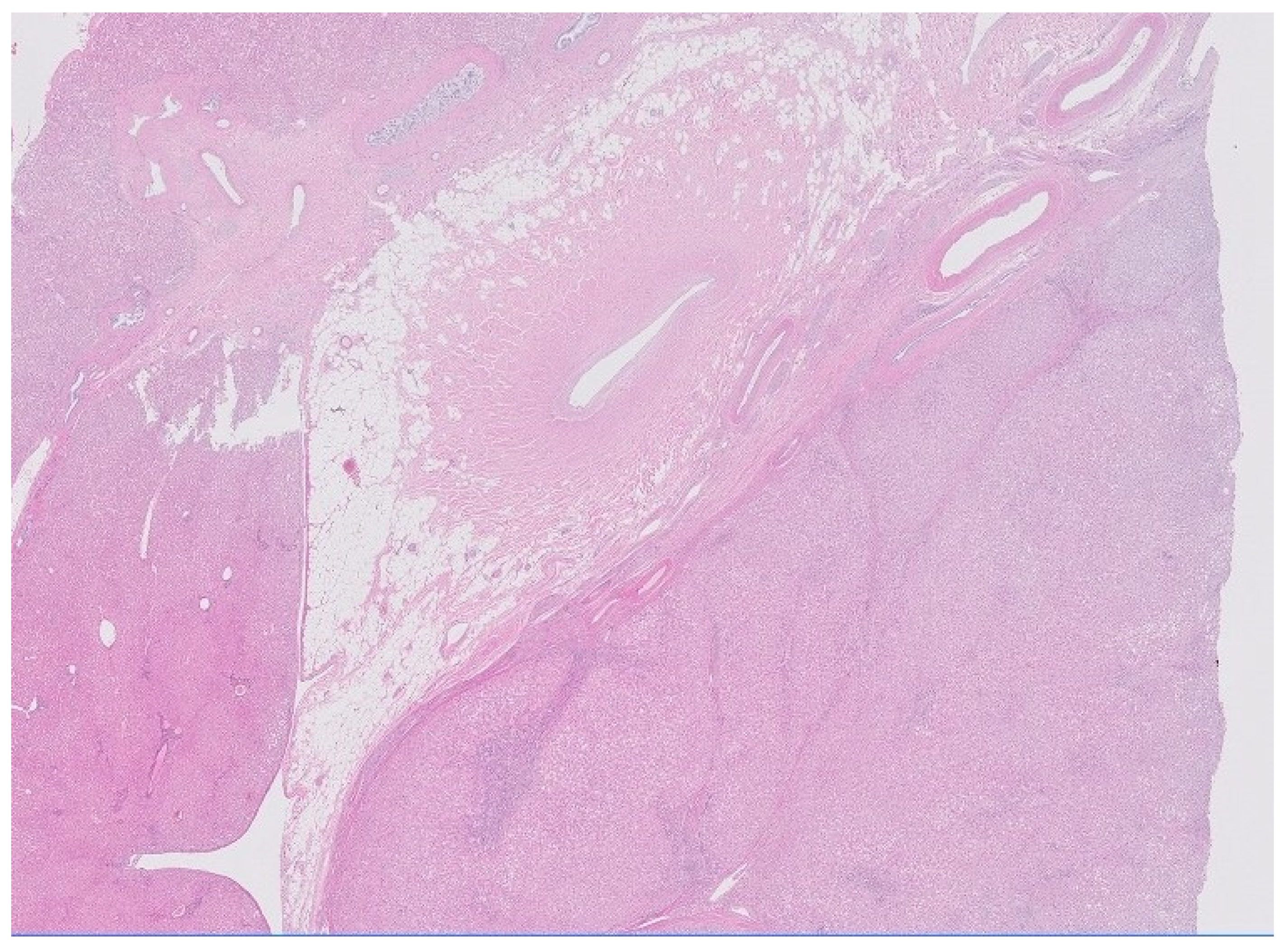 Diagnostics 12 00044 g003