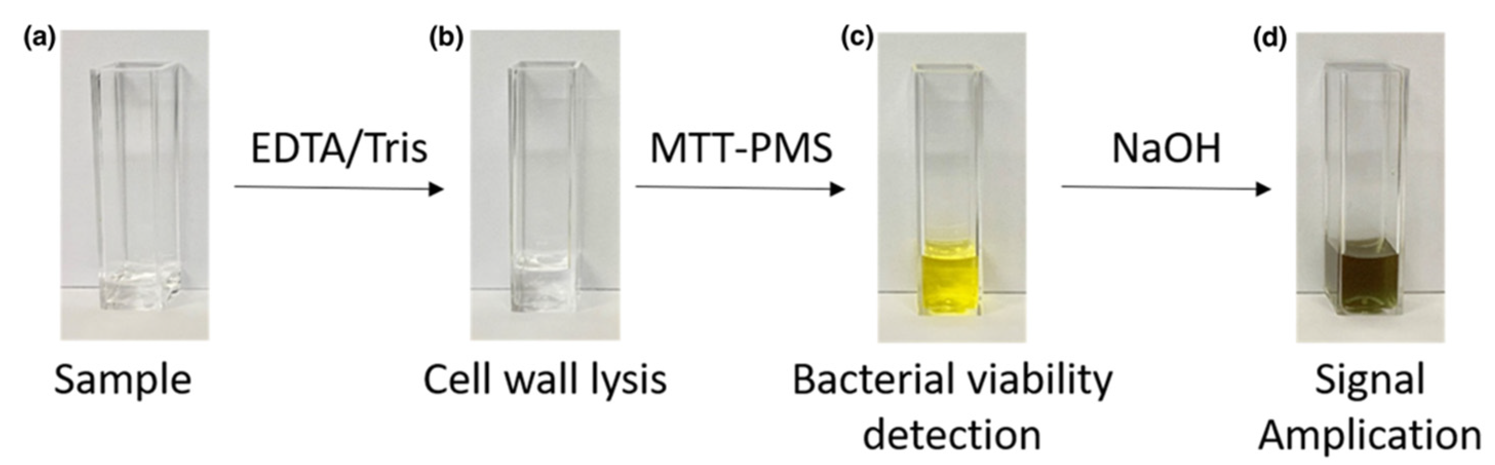 Diagnostics 12 00046 g002