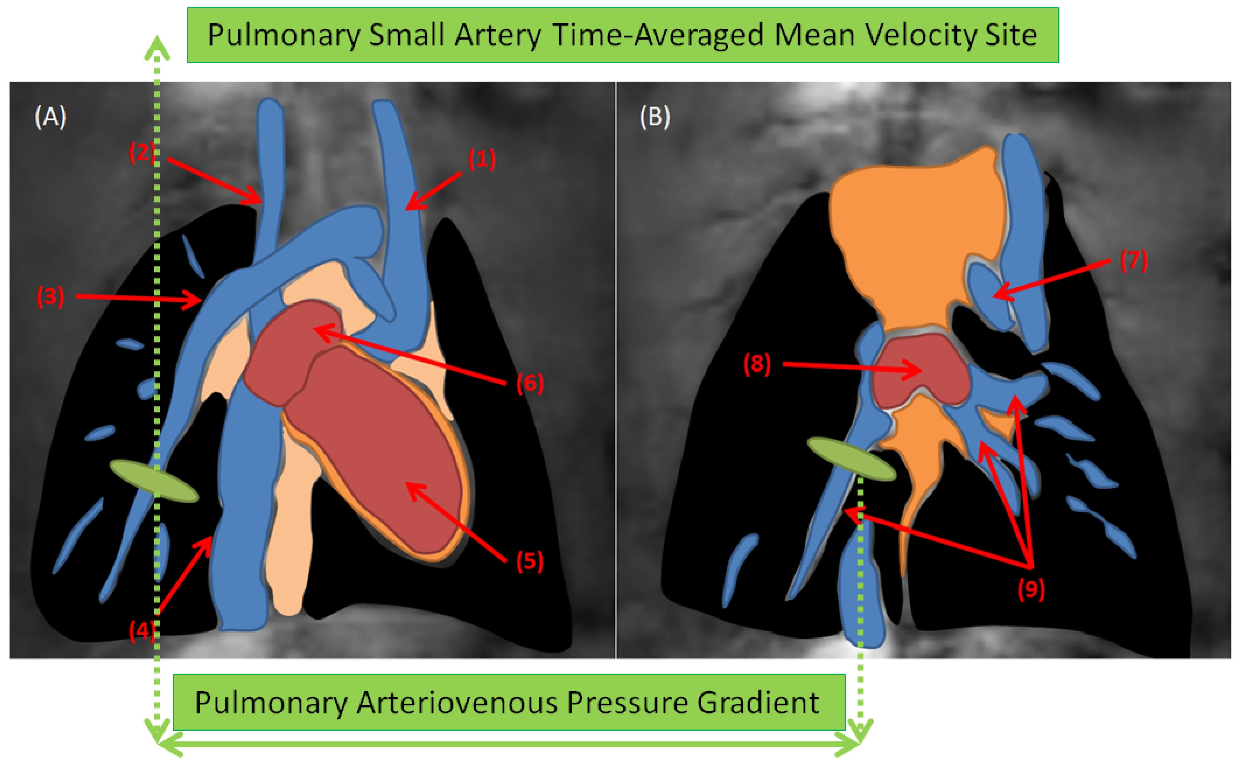 Diagnostics 12 00058 g001